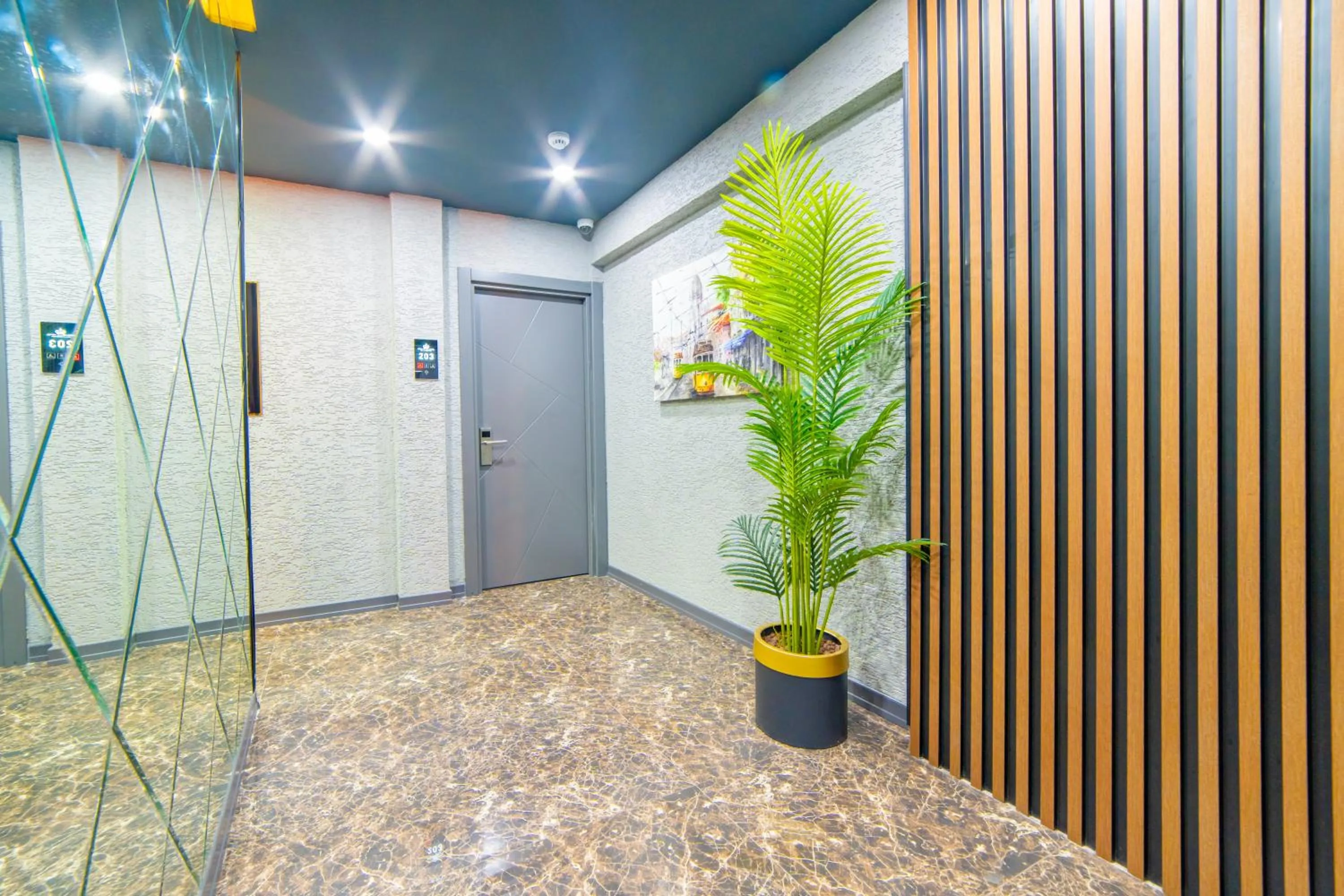 Area and facilities in Miss Royal Hotel & SPA