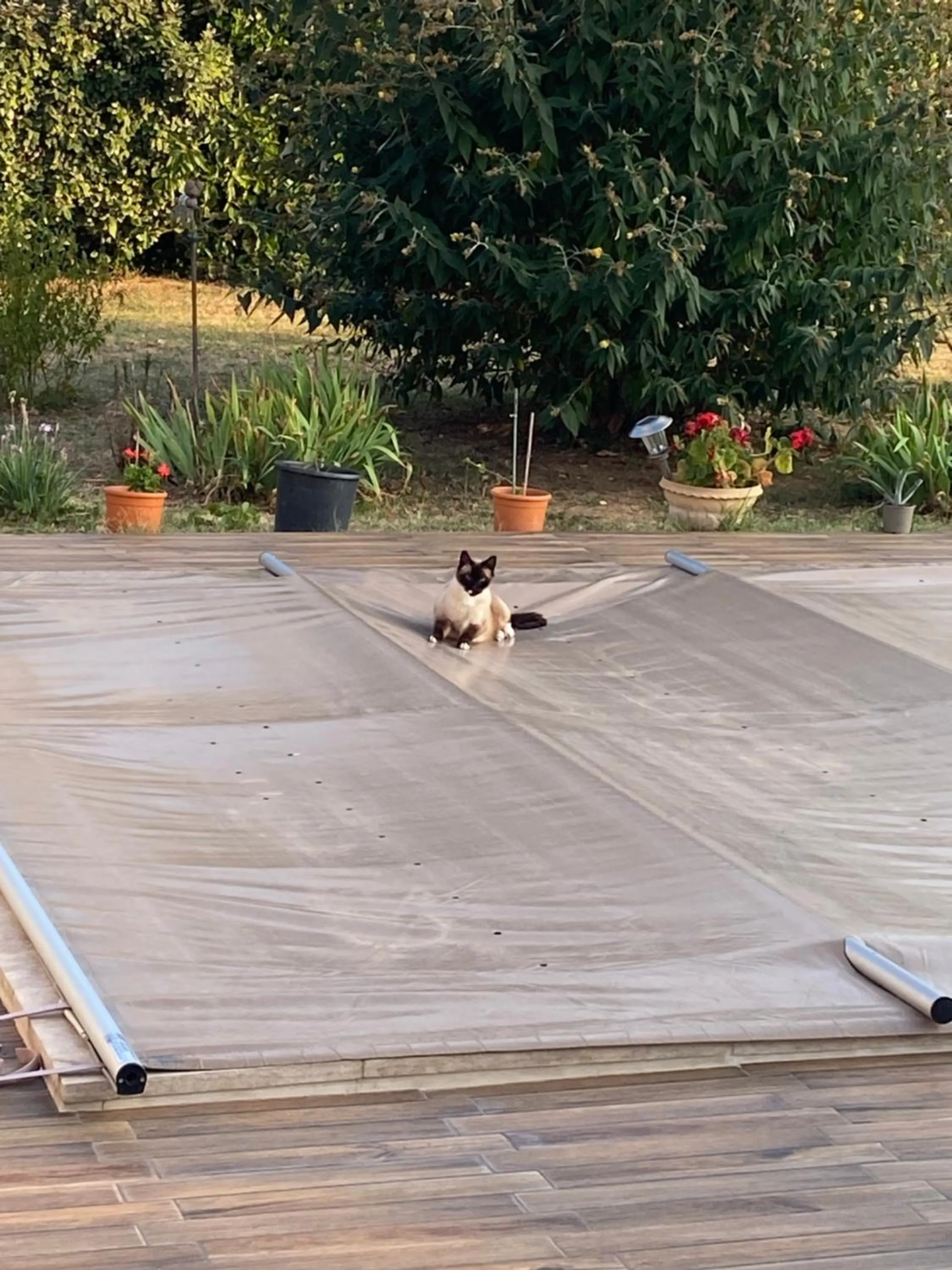 Property building in La Rosela de la Cité