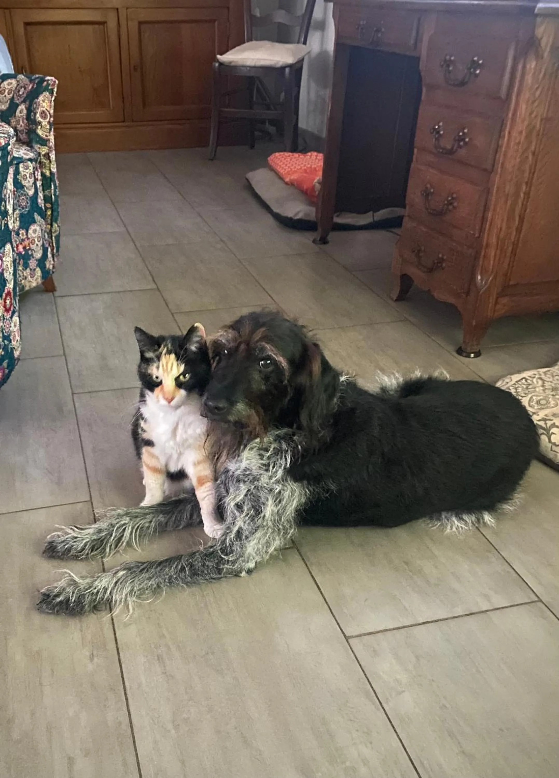 Property building in La Rosela de la Cité