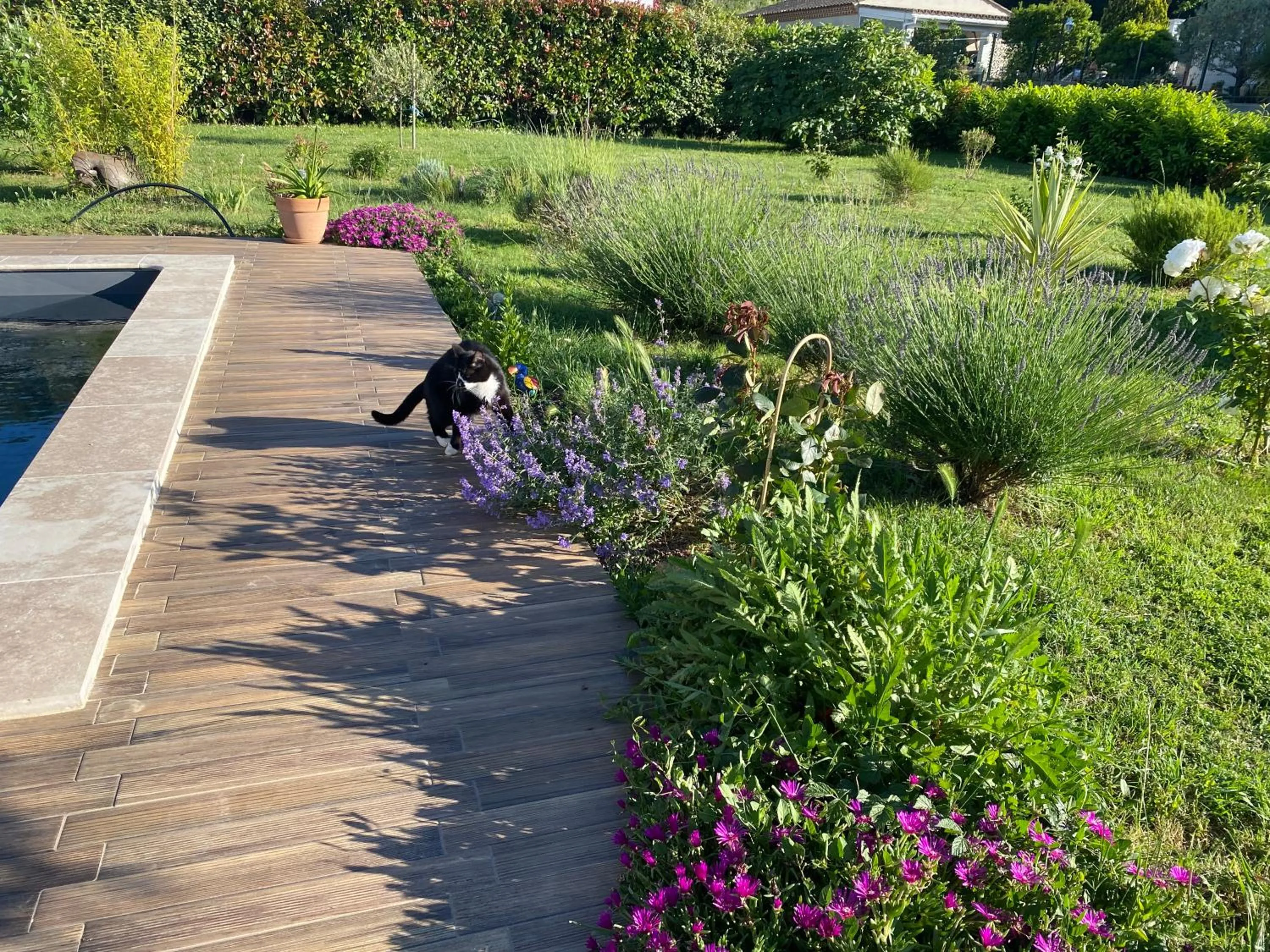 Garden in La Rosela de la Cité