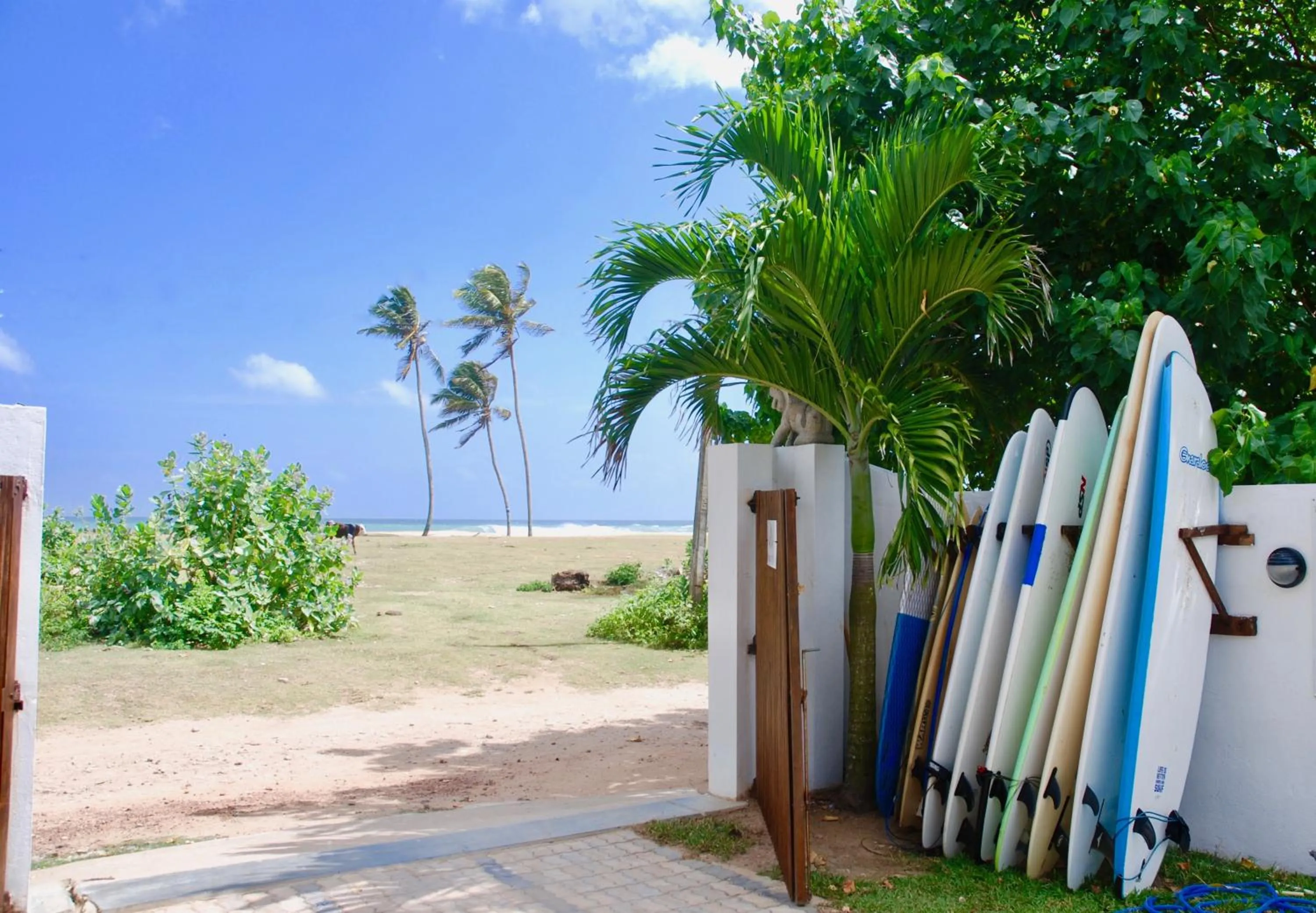 Beach in Lion's Rest