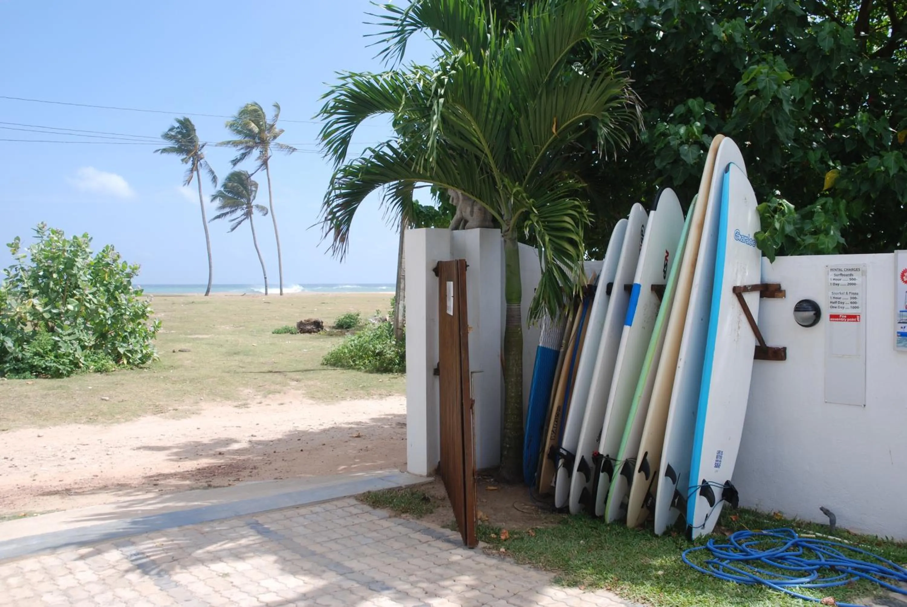 Other in Lion's Rest