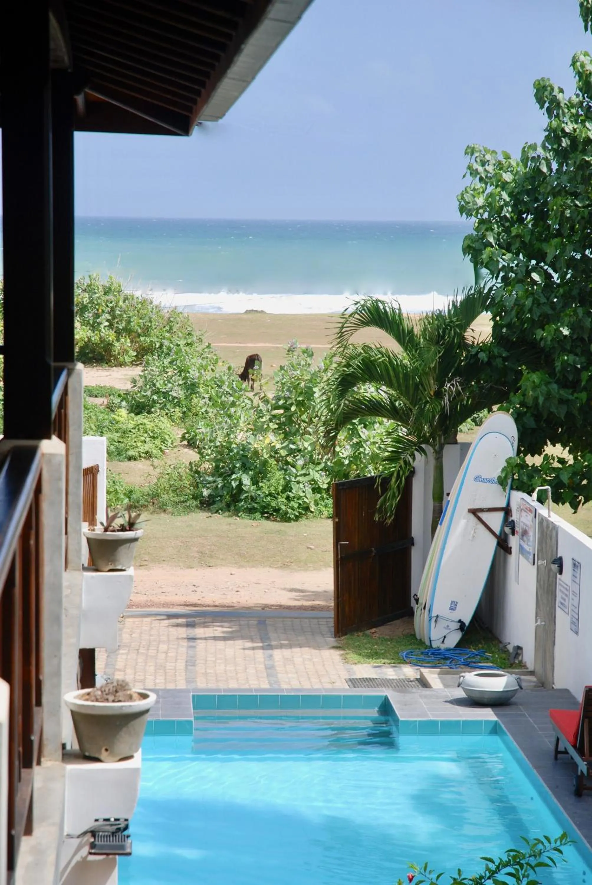 Pool view in Lion's Rest