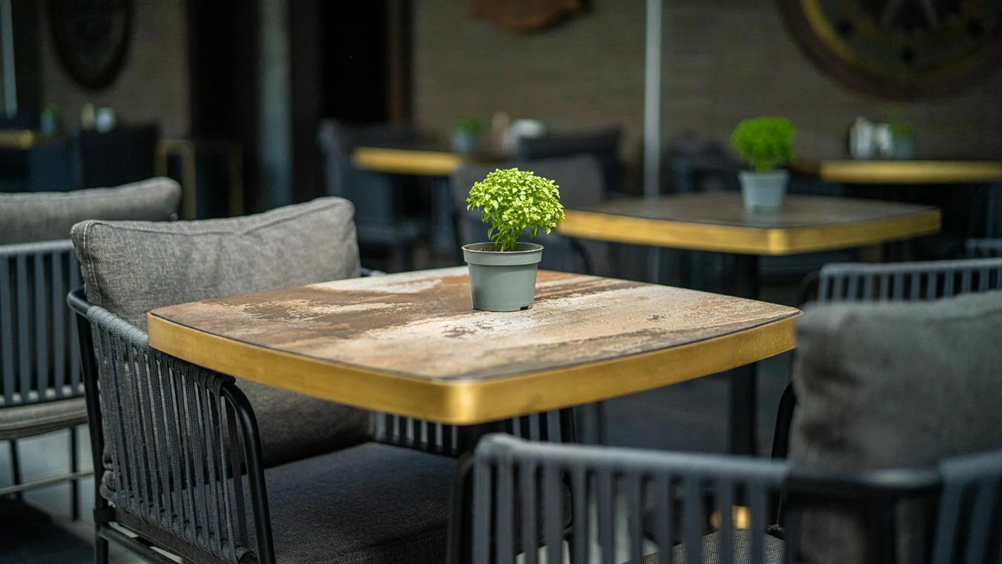Balcony/Terrace in Grand Cettia Hotel
