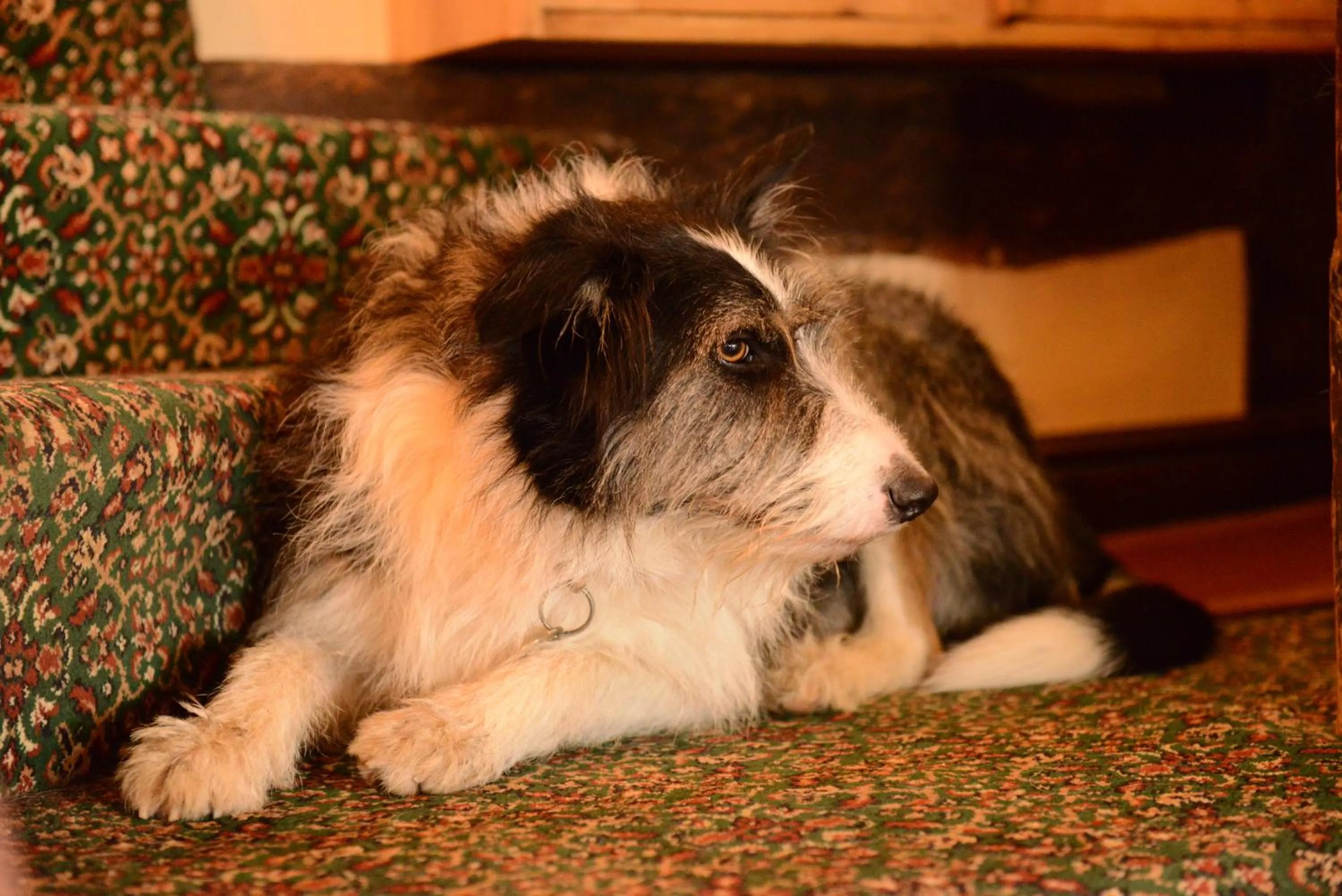 Other in Badgers Hall