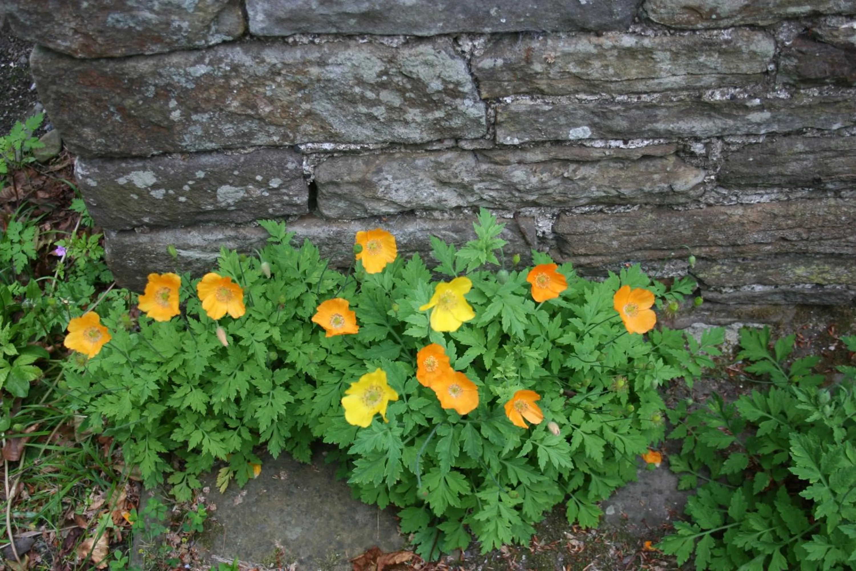 Decorative detail in Swansea Valley Holiday Cottages