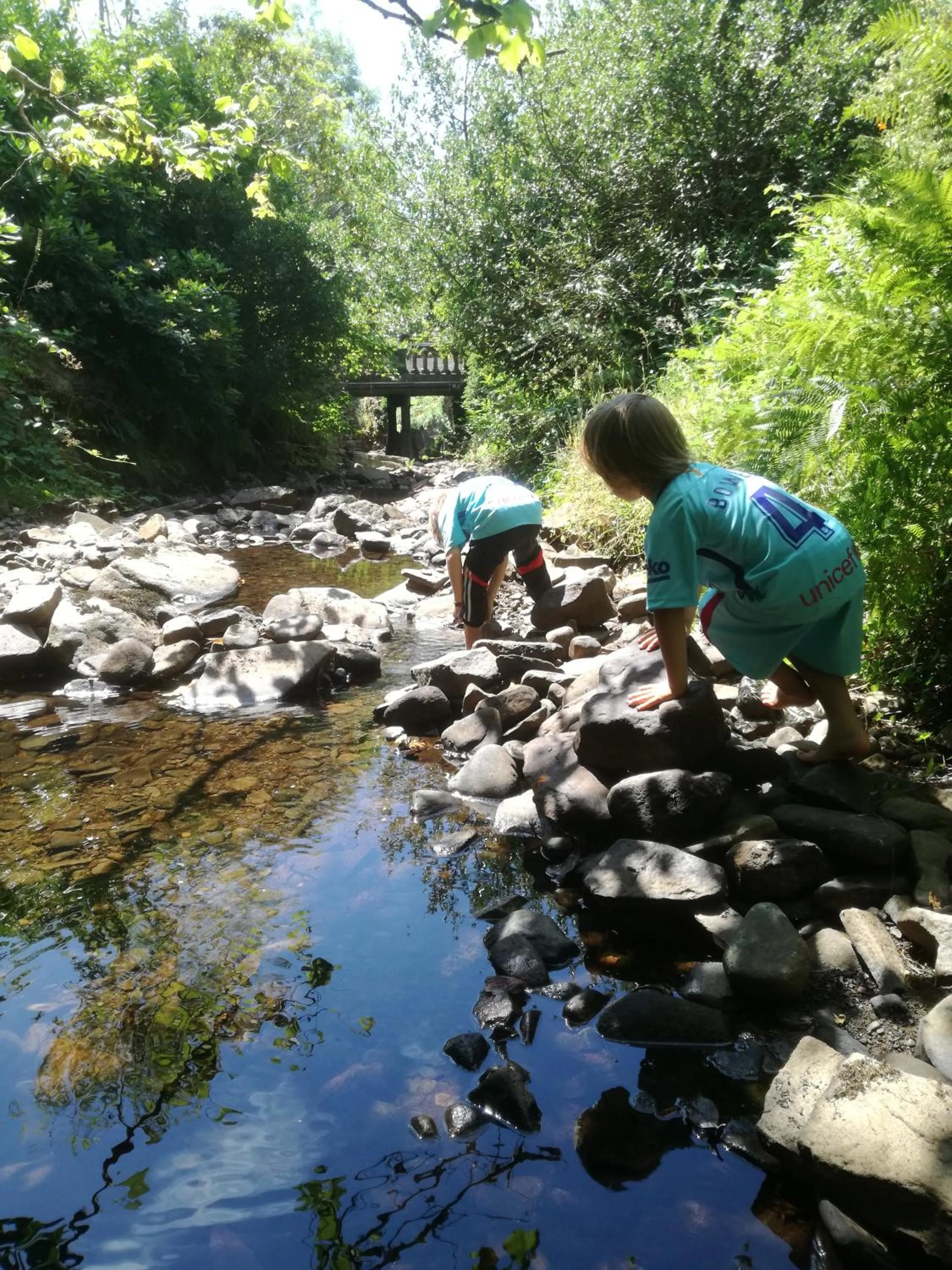 Natural landscape in Swansea Valley Holiday Cottages