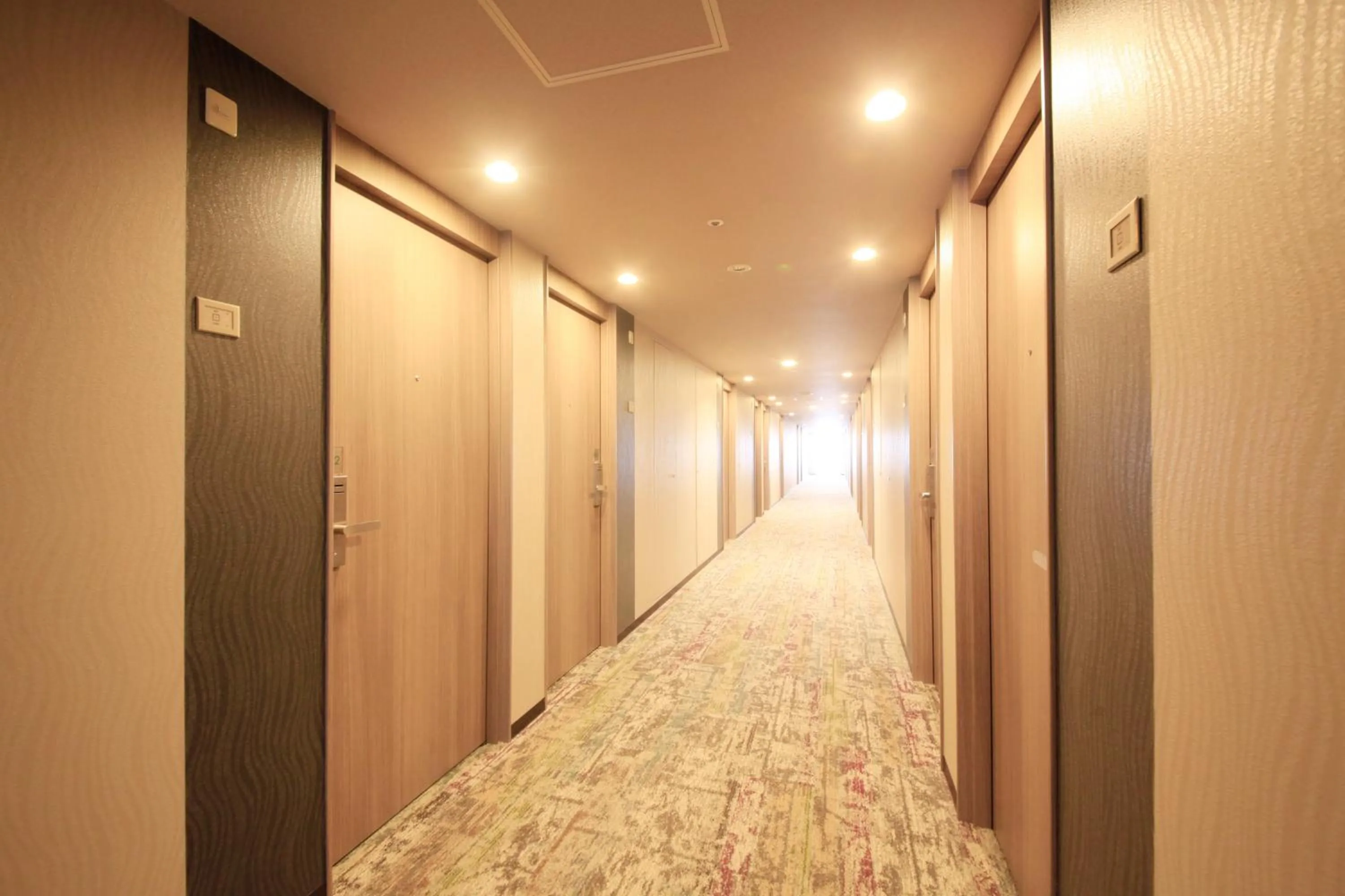 Richmond Hotel Premier Musashikosugi