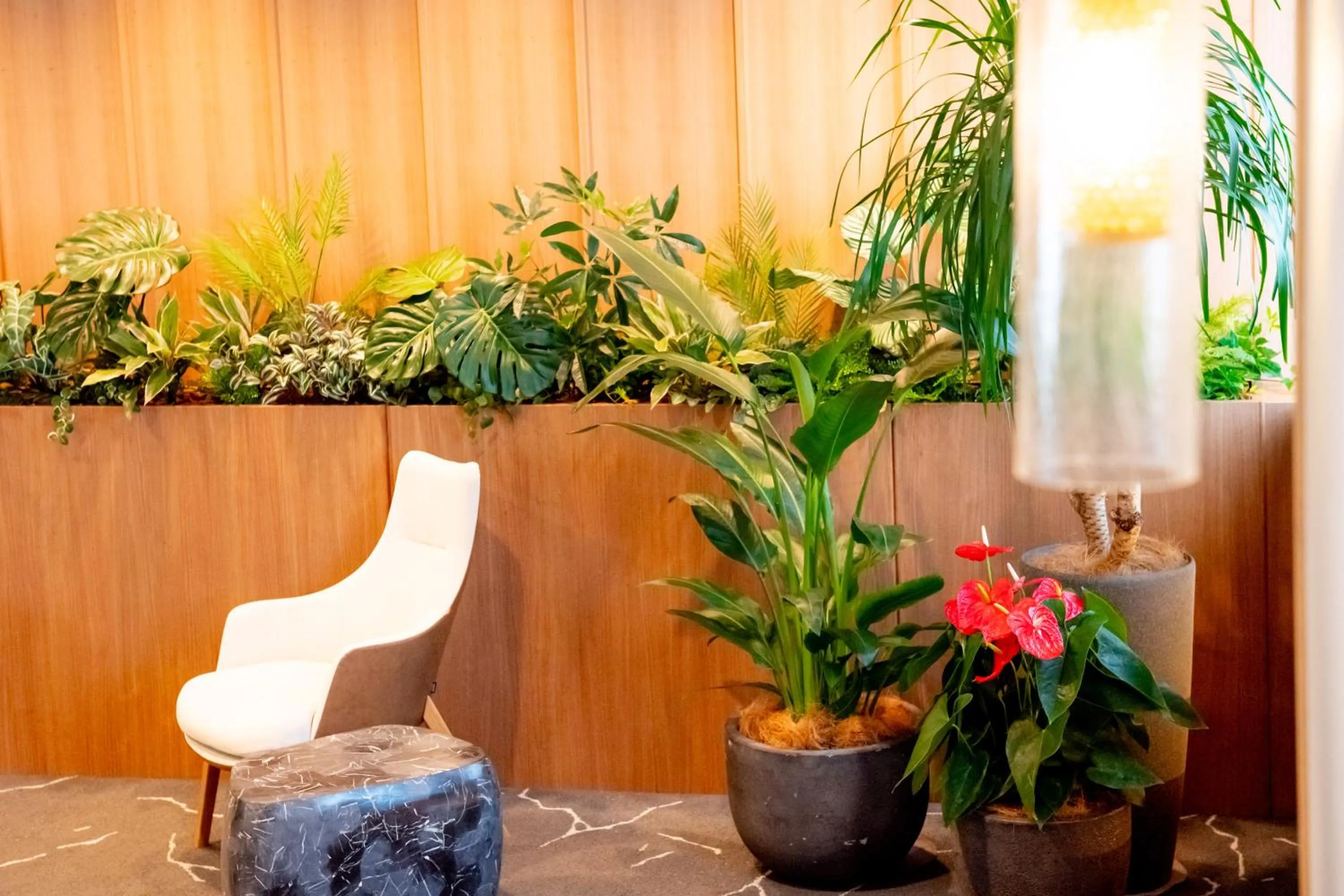 Richmond Hotel Miyazakiekimae