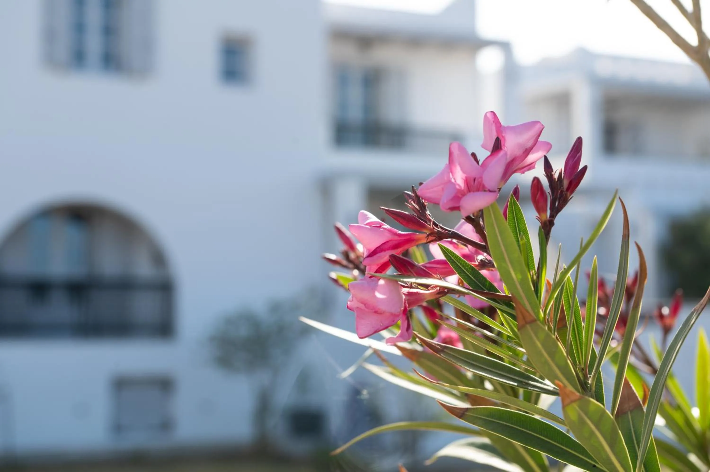 Property building in Sea Lilies Suites