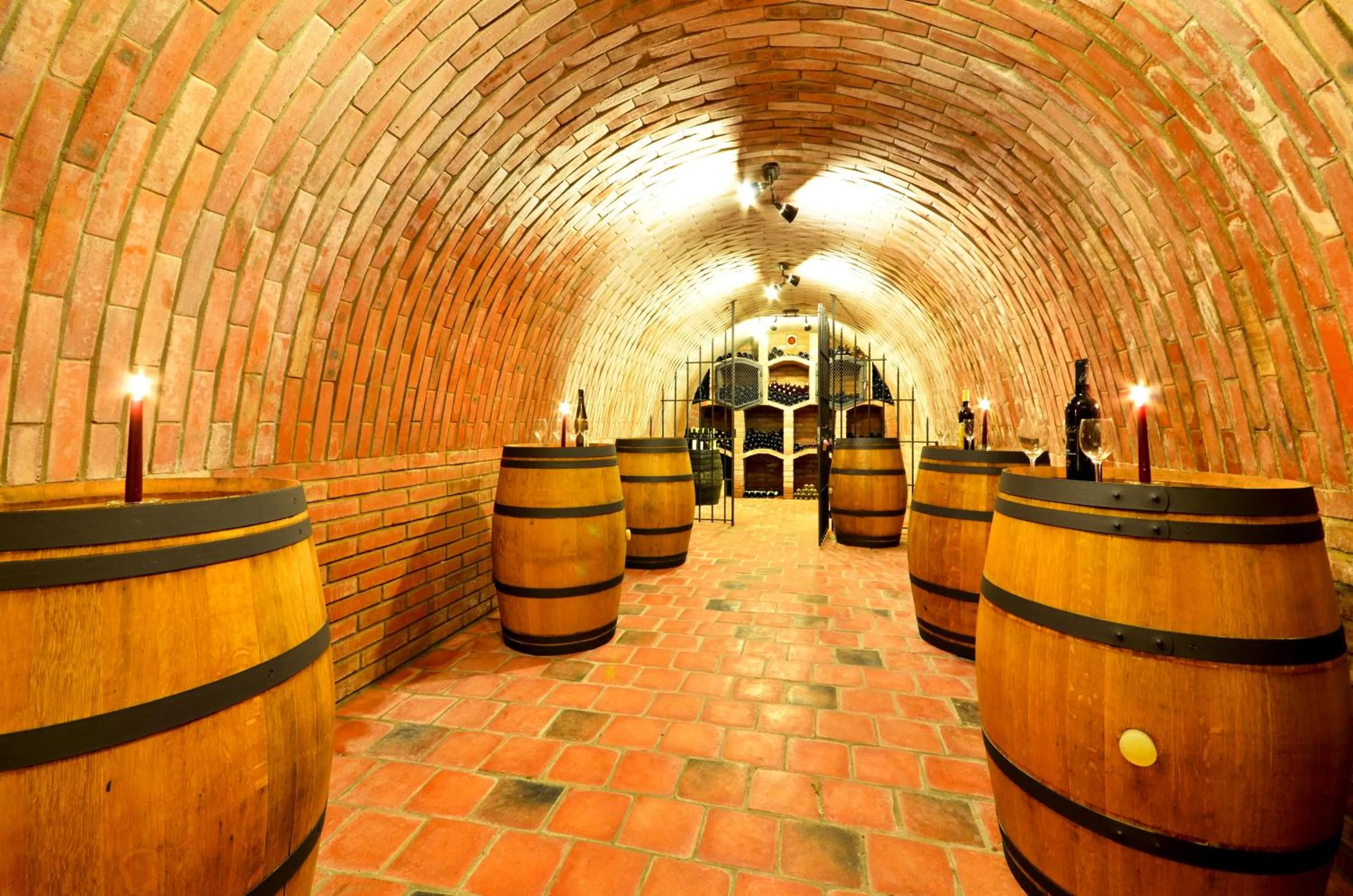 Nightclub / DJ in Wellness Hotel Ondrášův dvůr