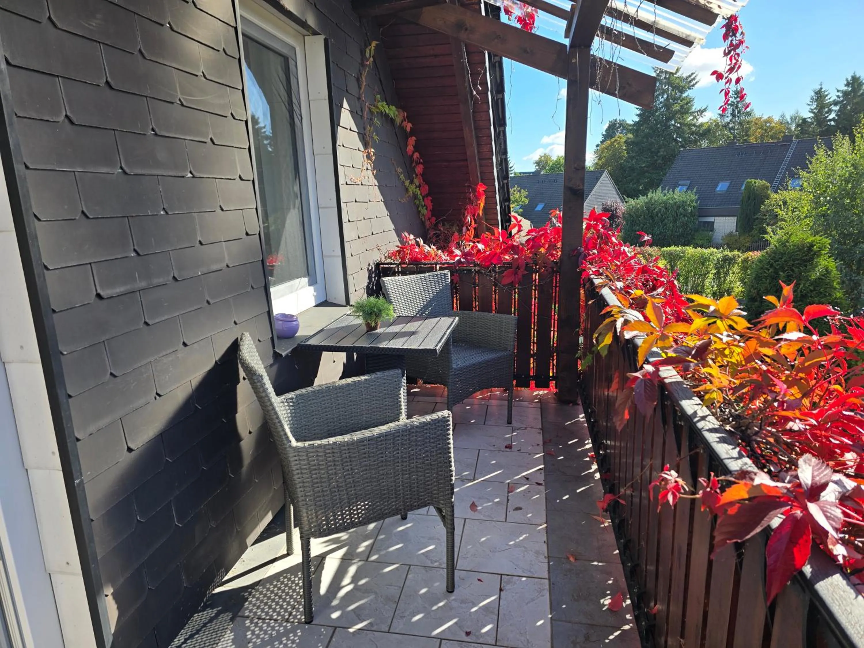 Balcony/Terrace in Haus Blume