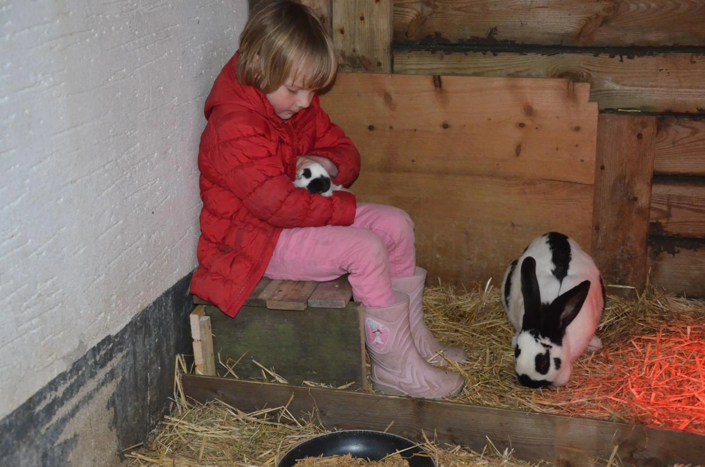 Pets in Haus Blume