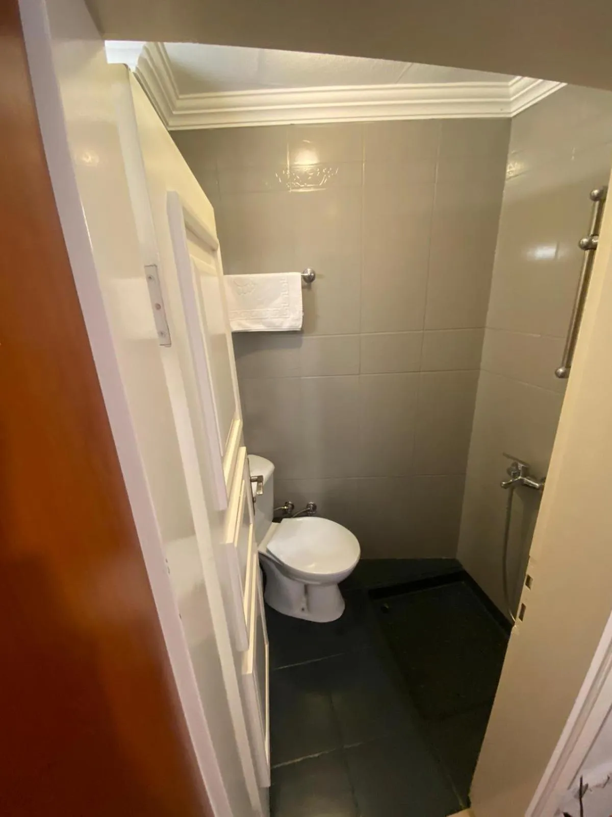 Toilet in Hotel Antique