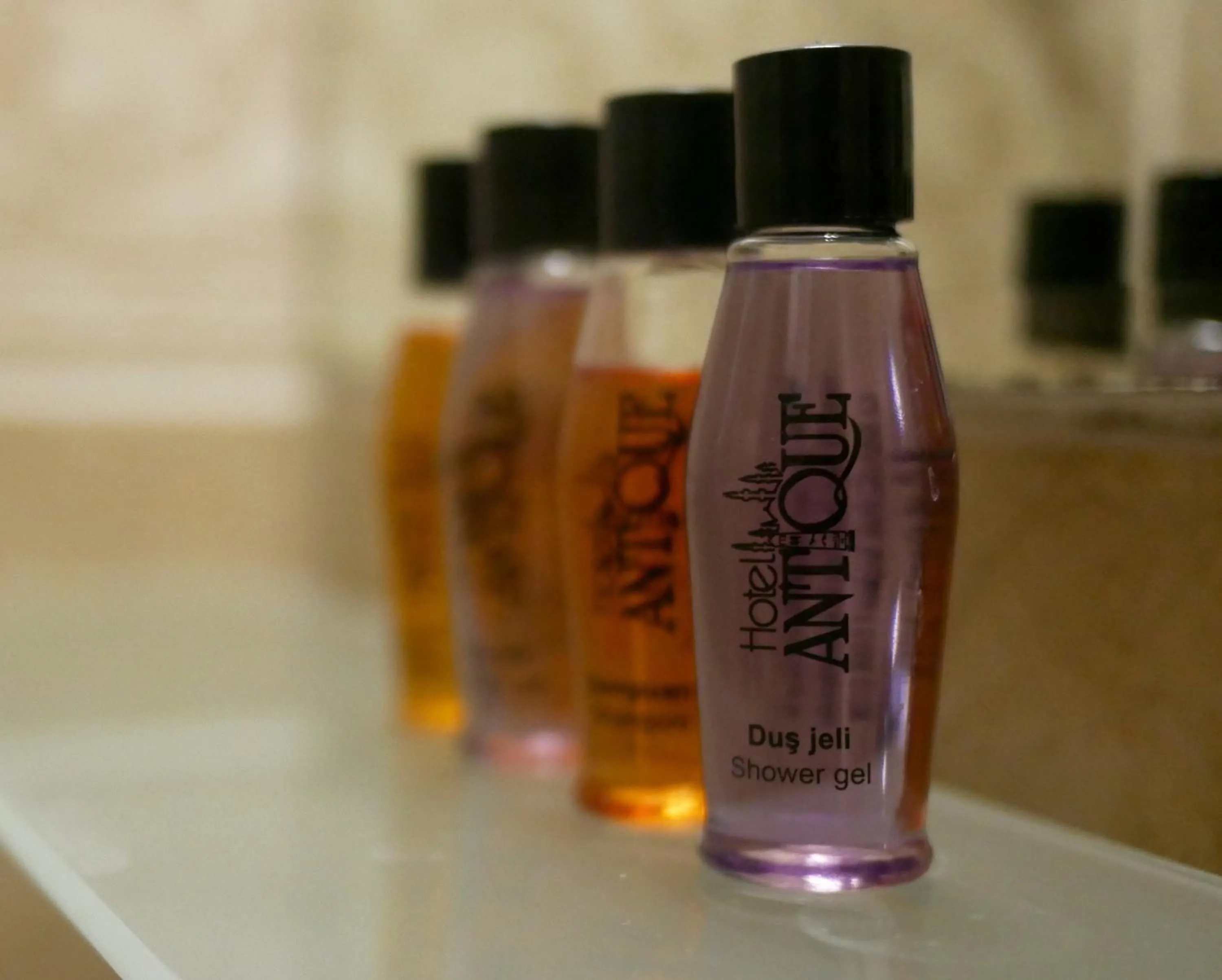 Area and facilities in Hotel Antique