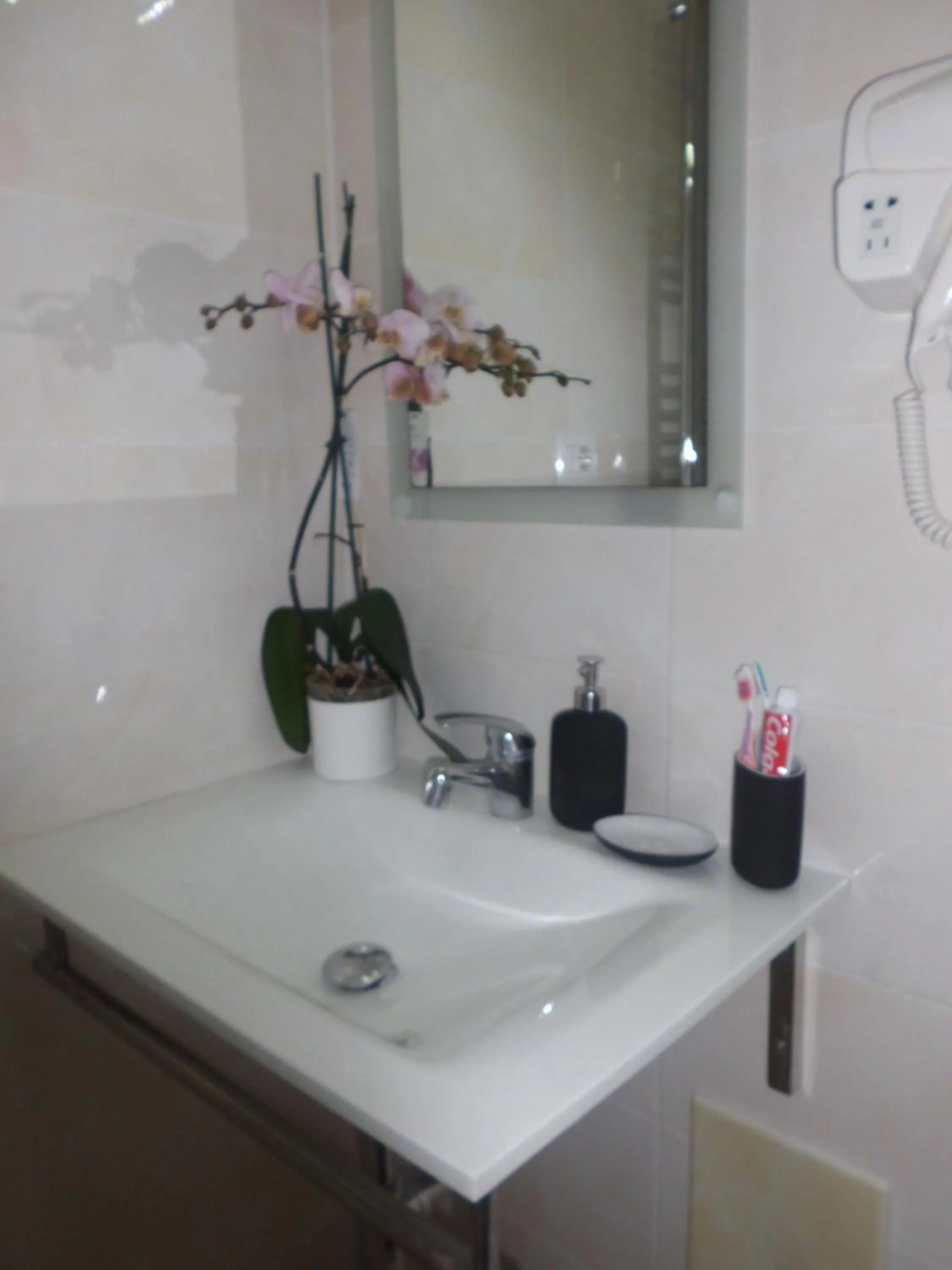 Oasi Madre della Pace