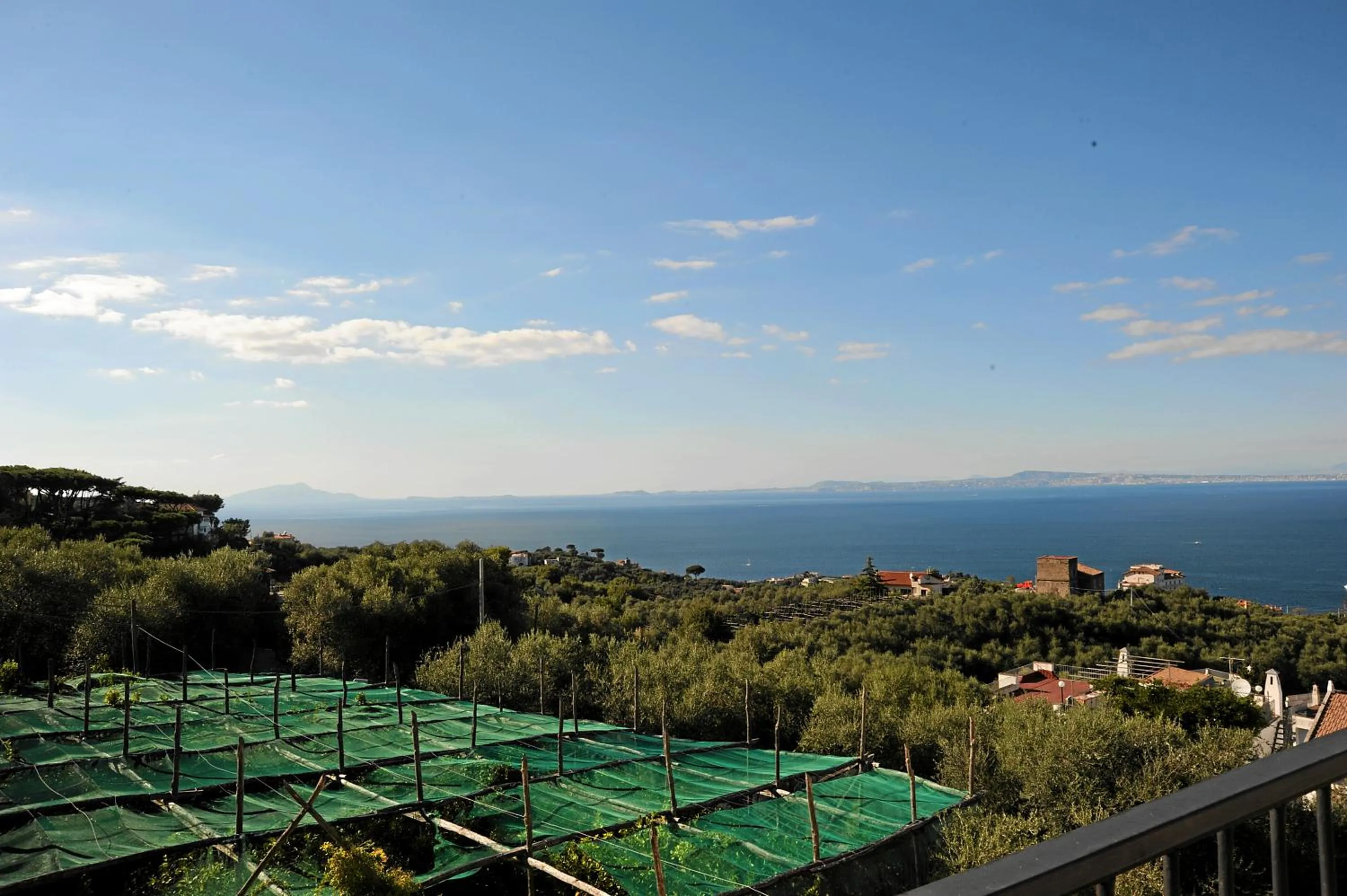 View (from property/room) in Oasi Madre della Pace