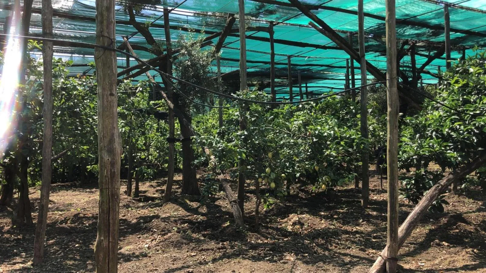 Property building in Oasi Madre della Pace