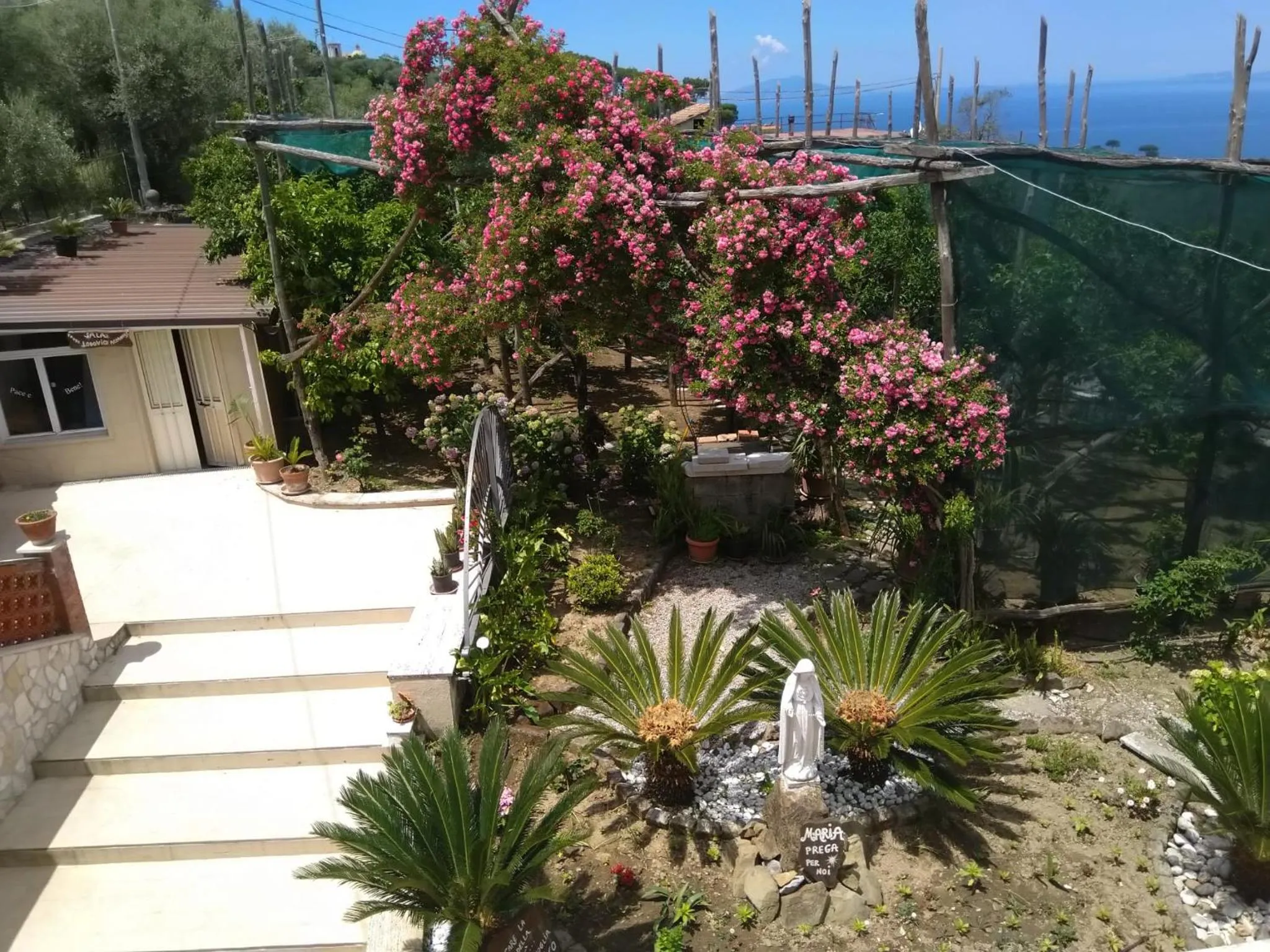 Oasi Madre della Pace