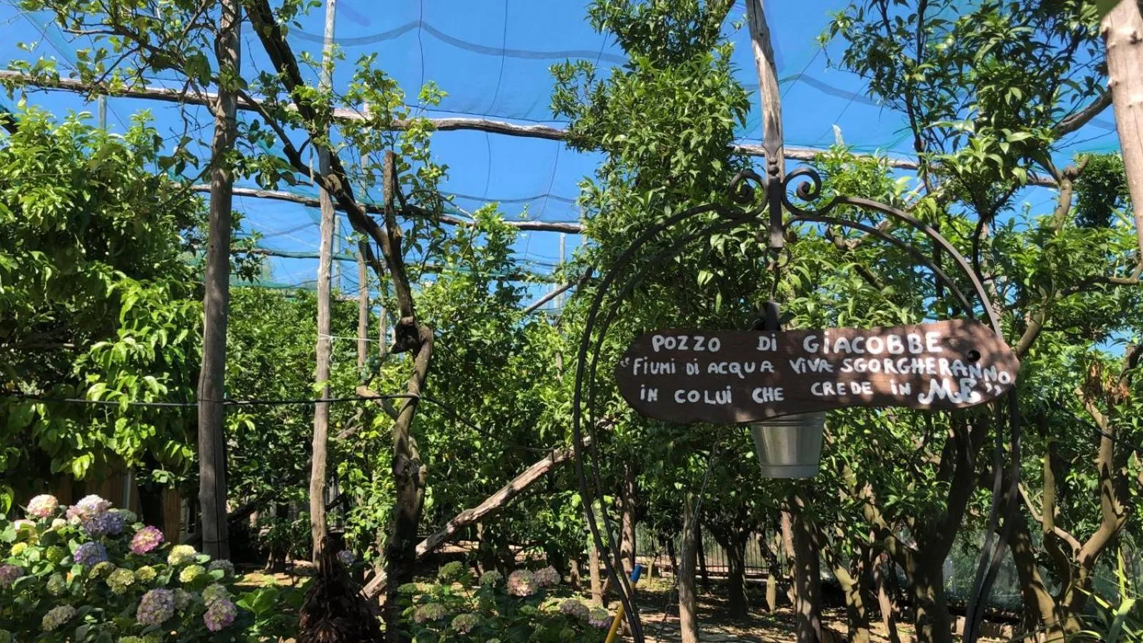 Oasi Madre della Pace