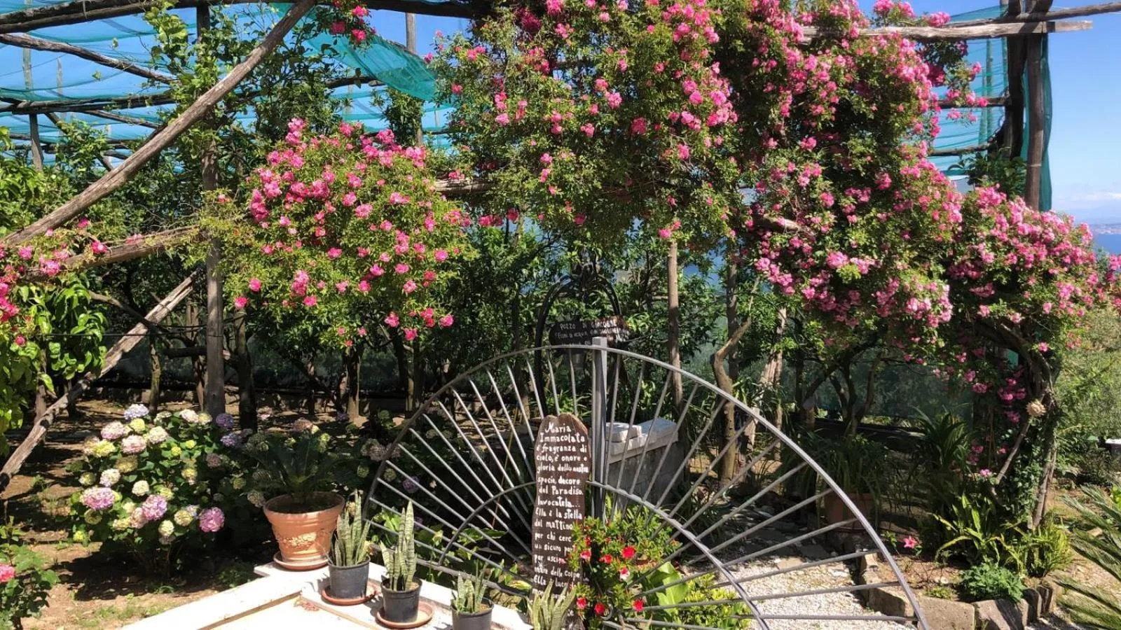 Oasi Madre della Pace