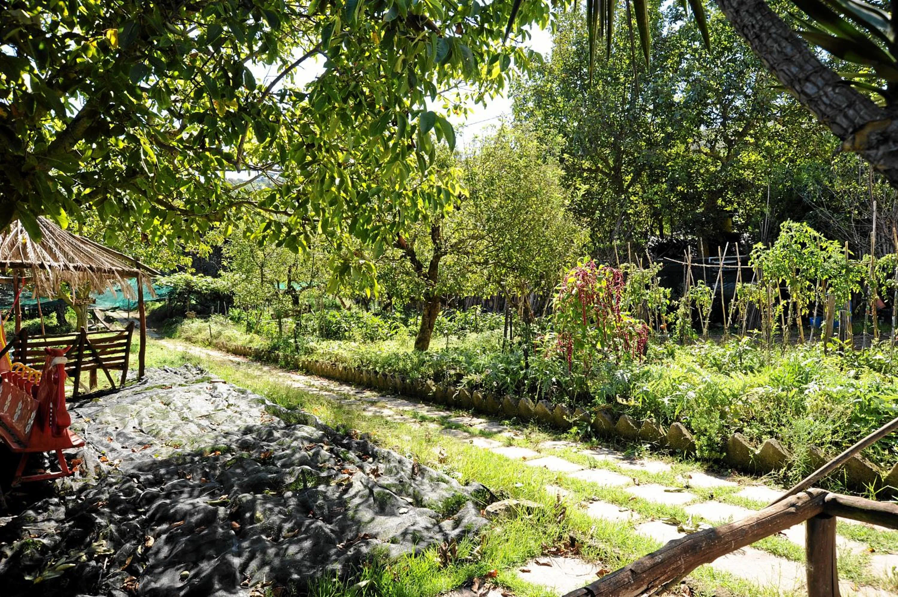 Garden in Oasi Madre della Pace