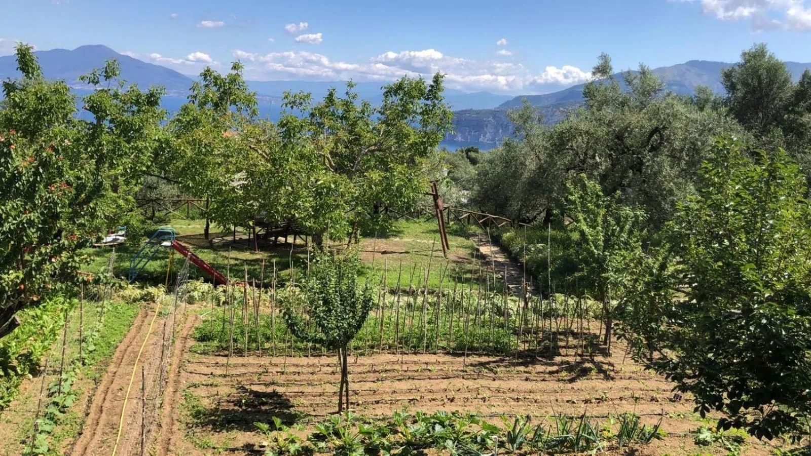 Garden in Oasi Madre della Pace