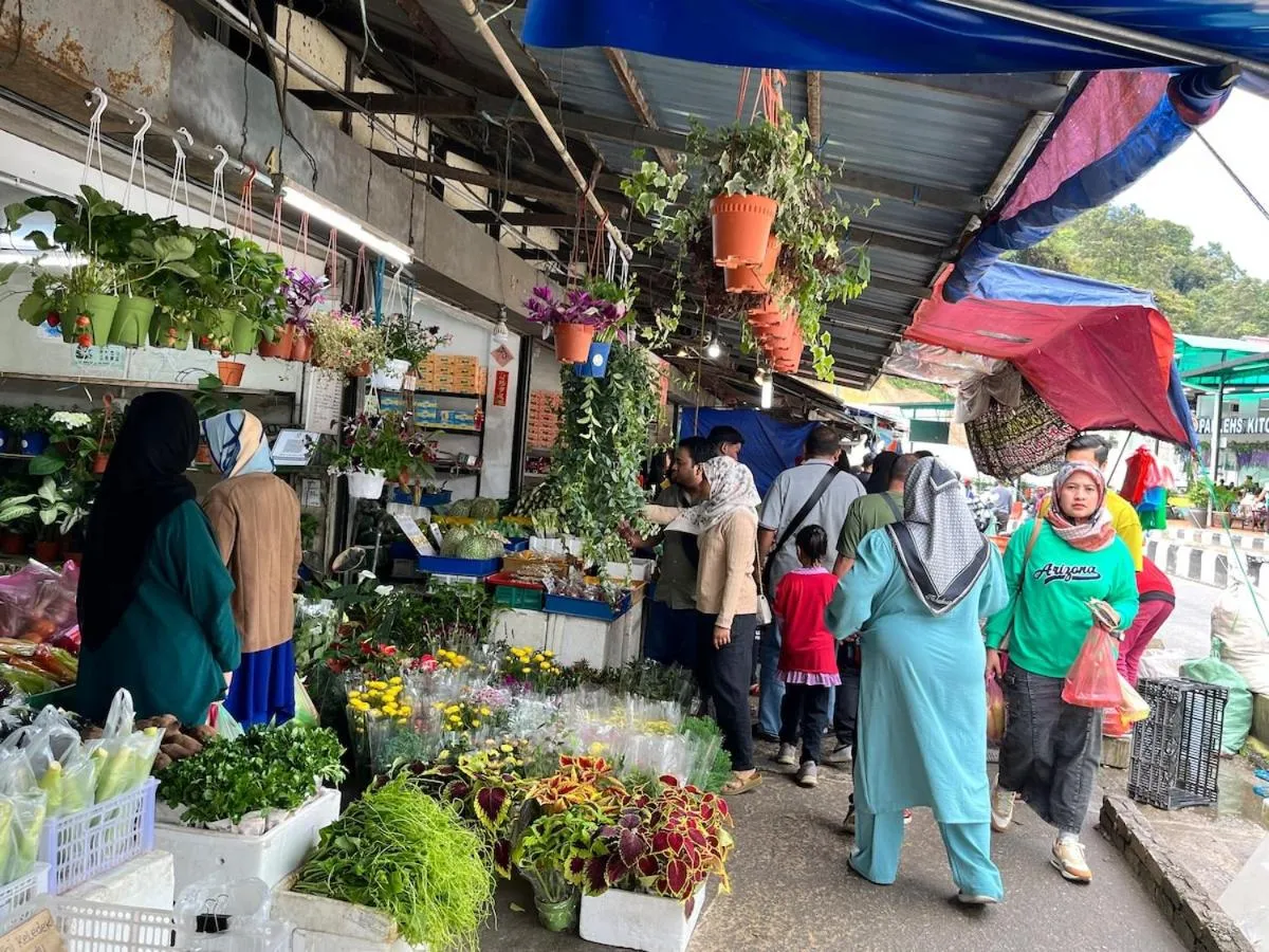Nova Mountain n Sunrise view Hilltop Hotel Apartment in Cameron Highlands