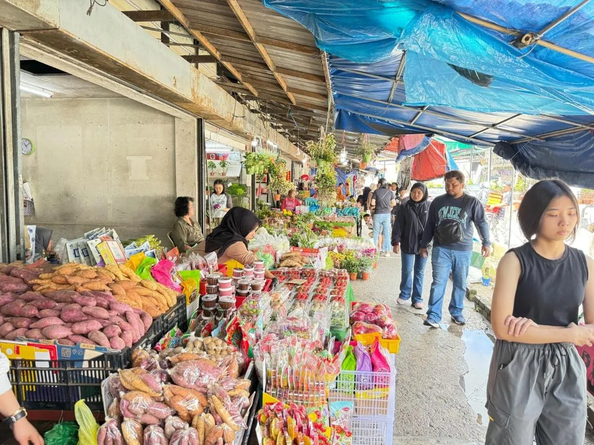 Nova Mountain n Sunrise view Hilltop Hotel Apartment in Cameron Highlands