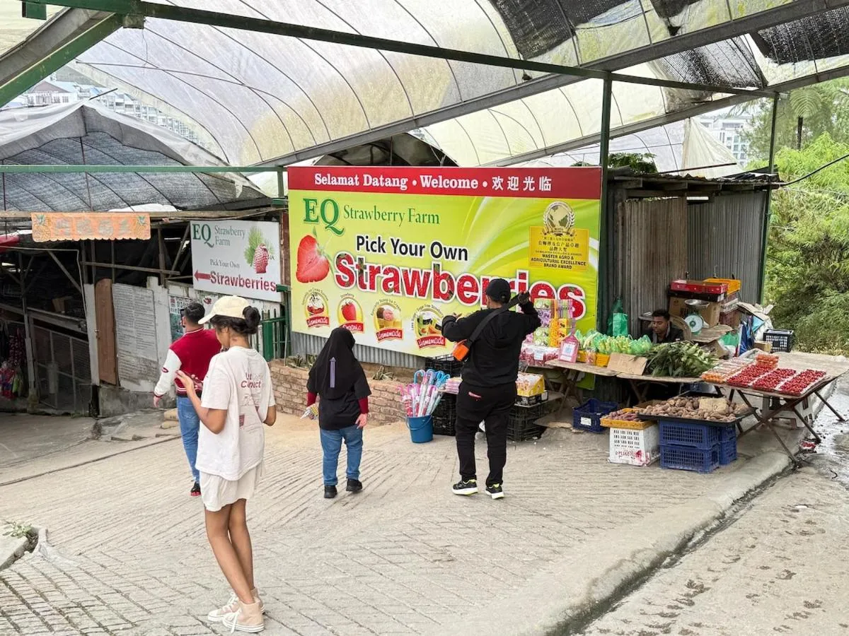 Nova Mountain n Sunrise view Hilltop Hotel Apartment in Cameron Highlands