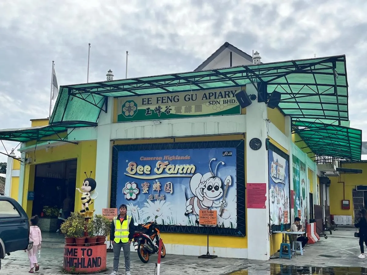 Nova Mountain n Sunrise view Hilltop Hotel Apartment in Cameron Highlands
