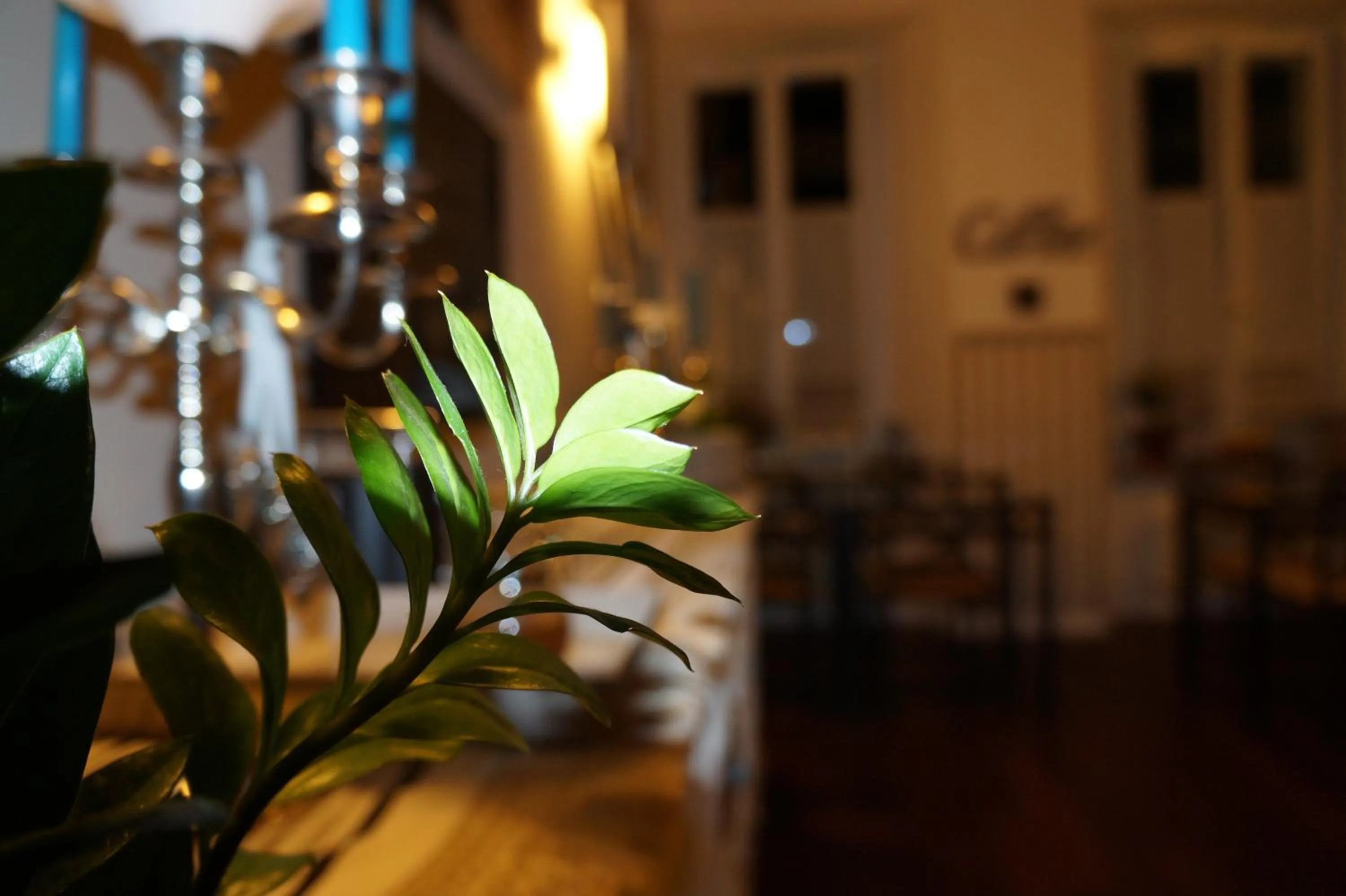 Dining area in Domus San Martino GuestHouse