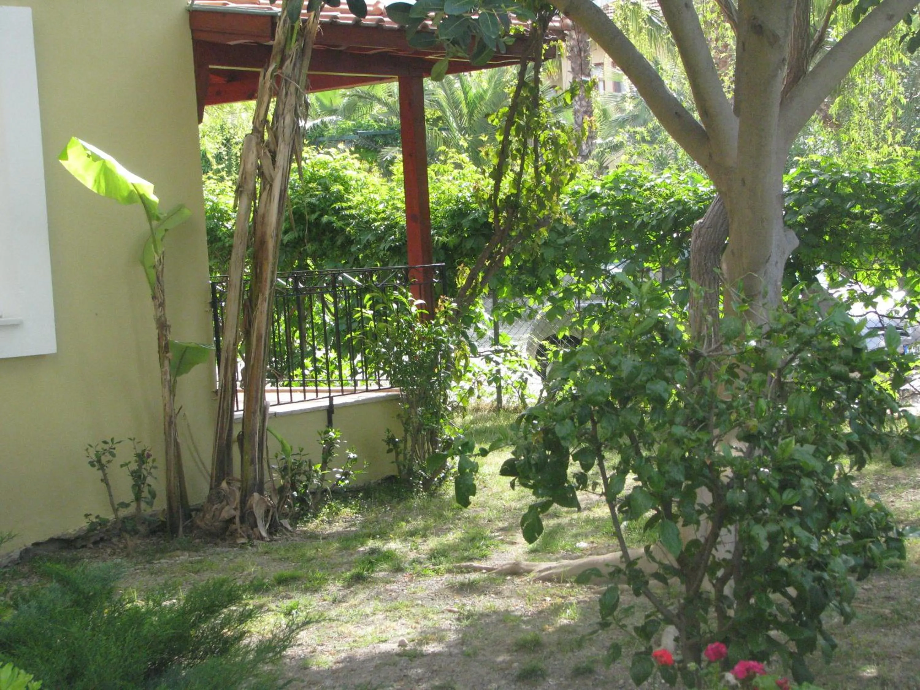 Garden in Alize Hotel