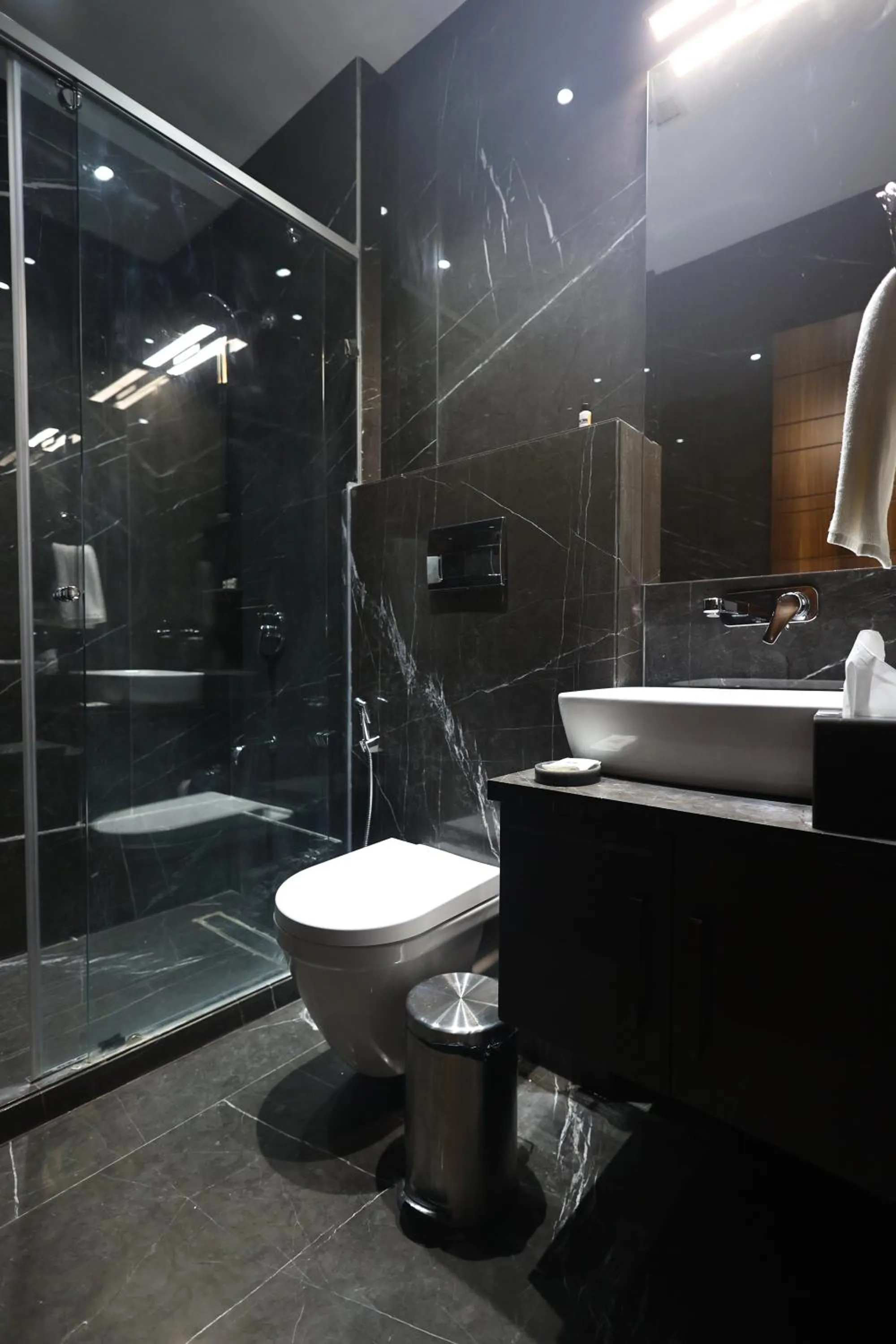 Shower in The Ramayana Hotel, Ayodhya