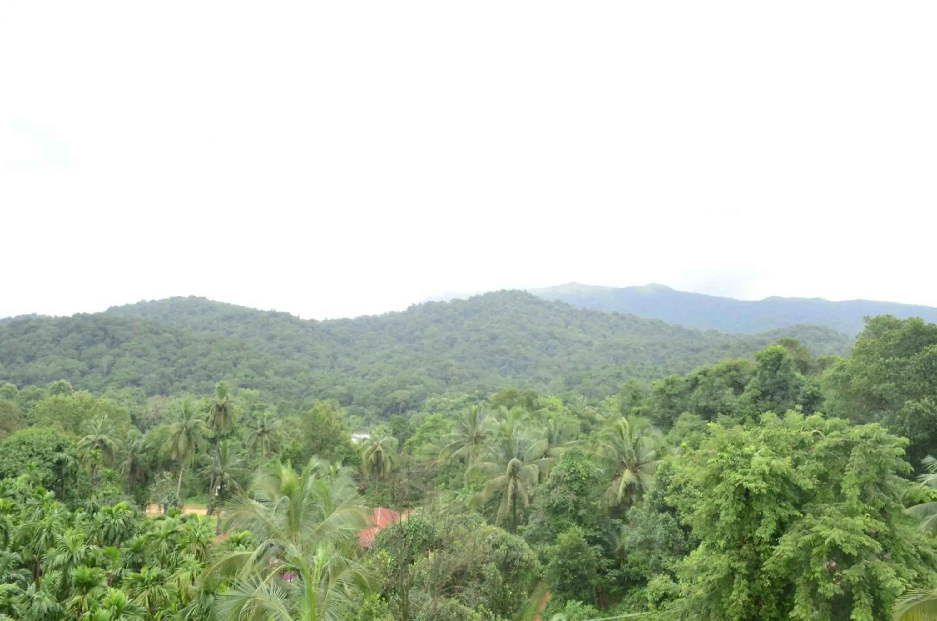 Mountain view in The Aurum Subrahmanya Mountain view in The Aurum Subrahmanya