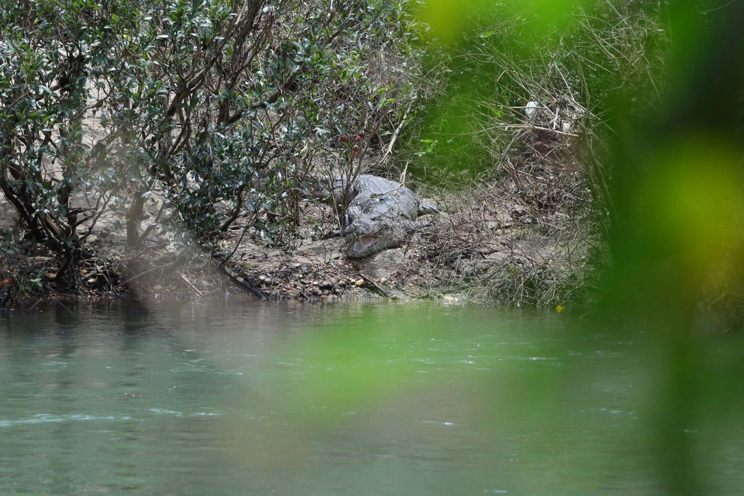 View (from property/room) in The Aurum Subrahmanya