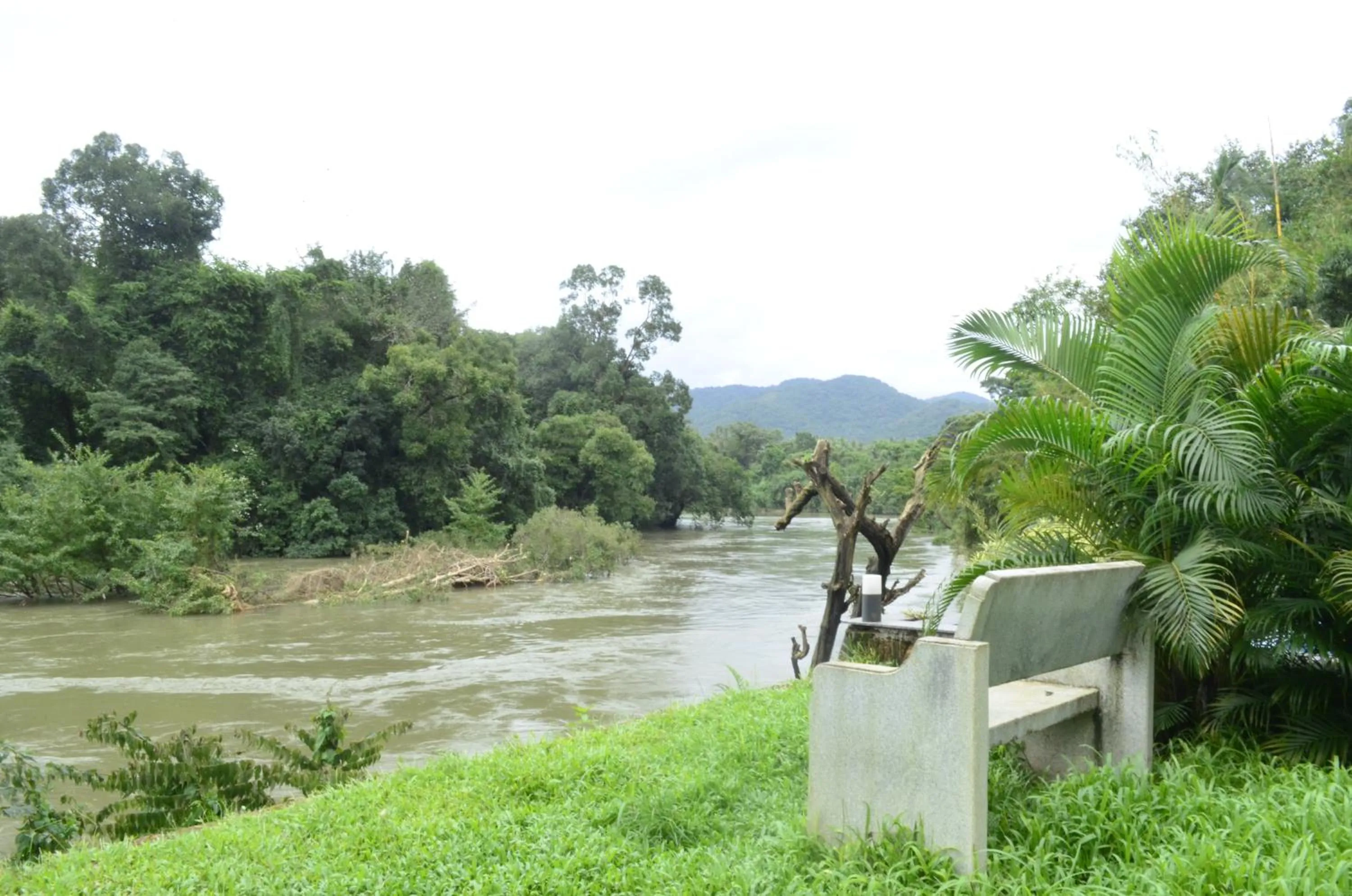 Garden in The Aurum Subrahmanya