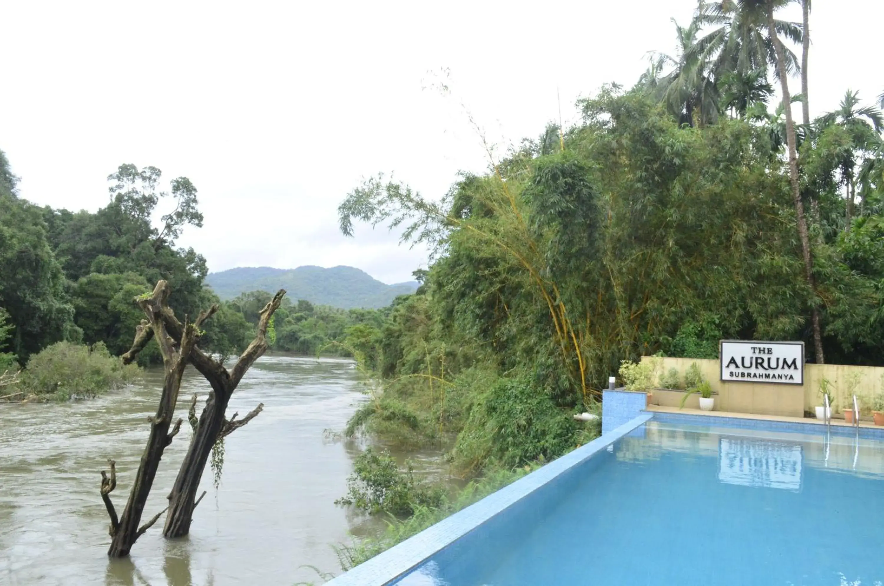Swimming pool in The Aurum Subrahmanya Swimming pool in The Aurum Subrahmanya
