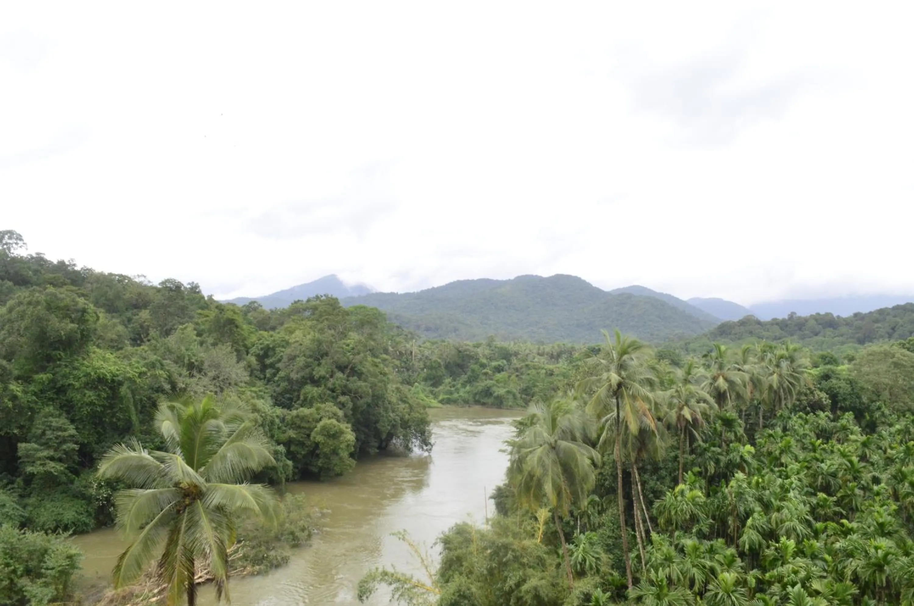Mountain view in The Aurum Subrahmanya