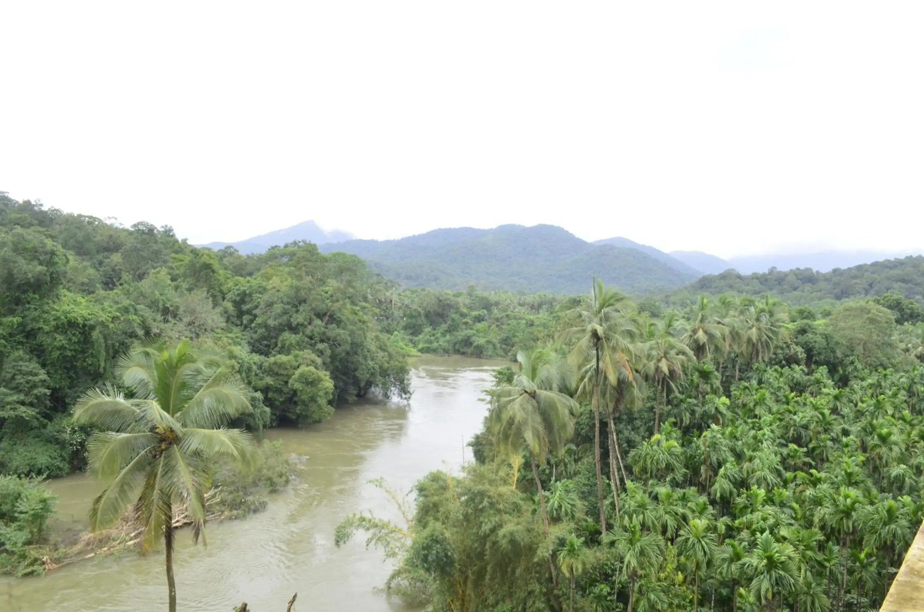 Mountain view in The Aurum Subrahmanya Mountain view in The Aurum Subrahmanya