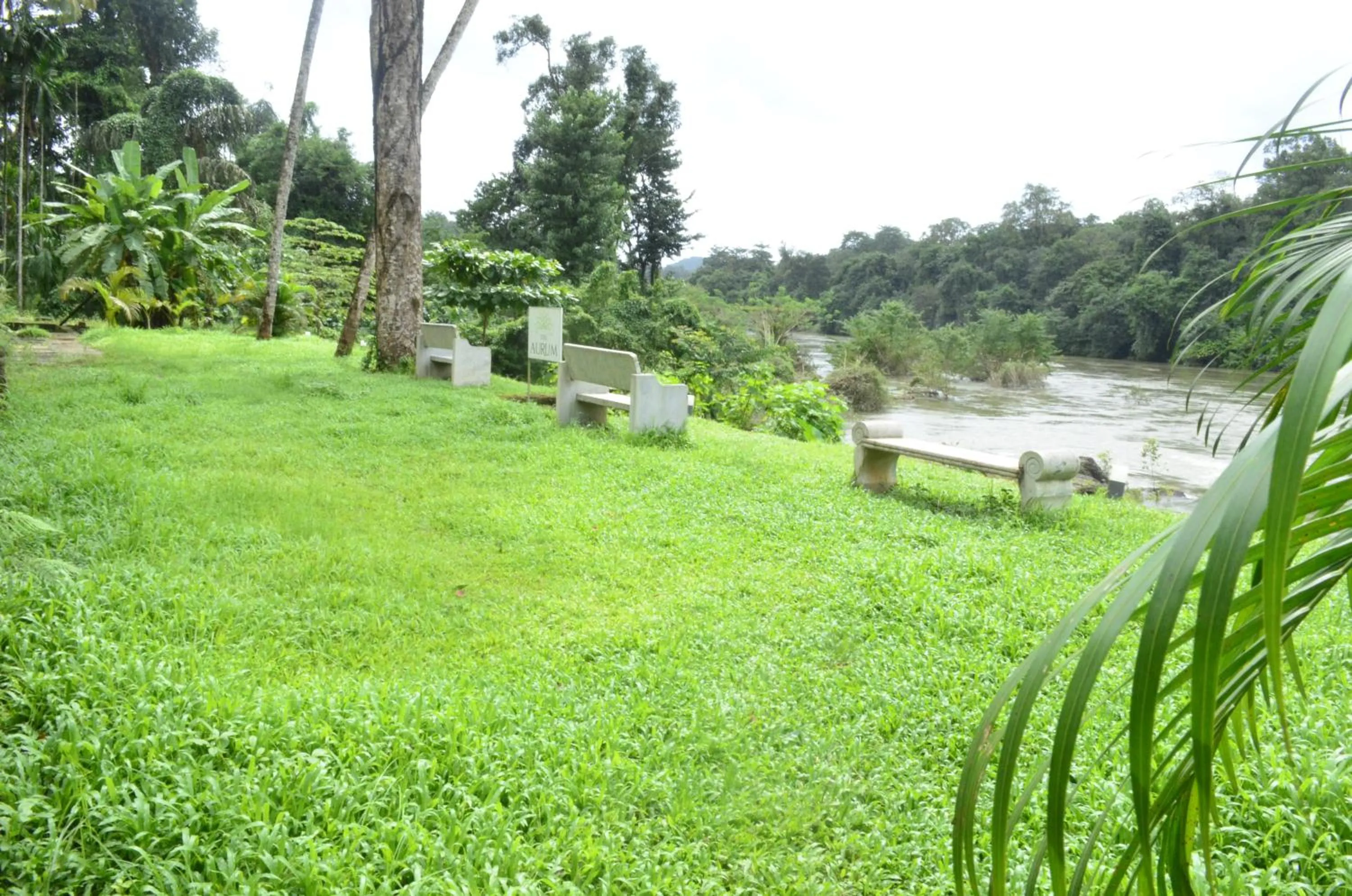 Garden in The Aurum Subrahmanya