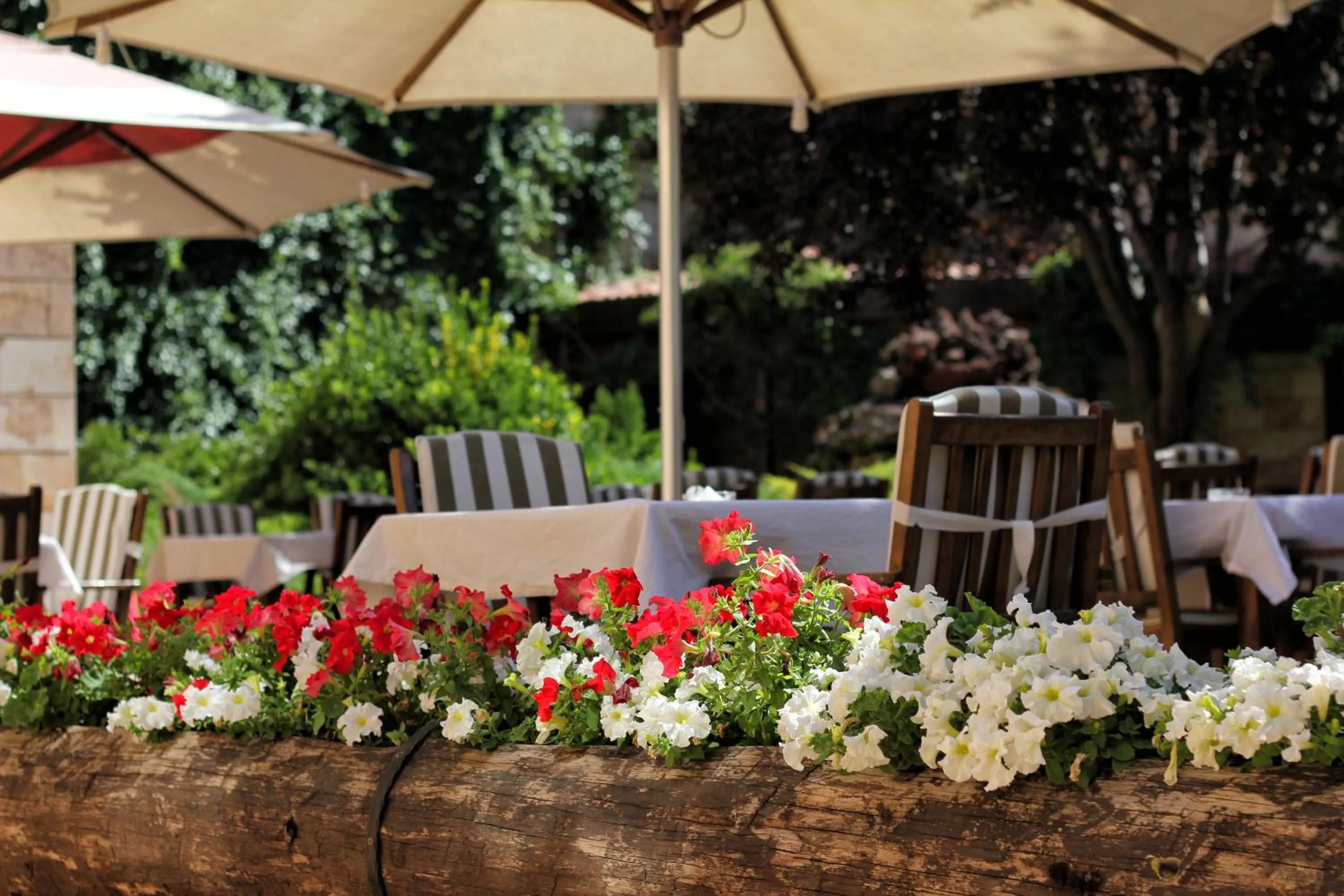 Garden in Akuzun Stone Hotel