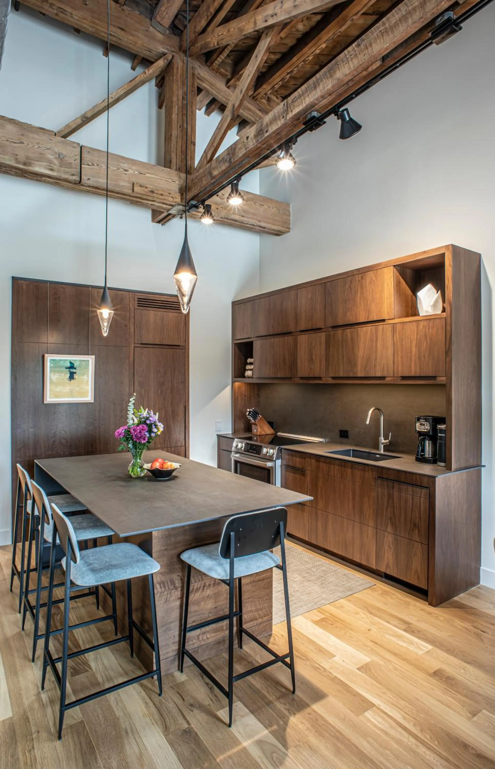 Kitchen or kitchenette in Elevation Lofts Hotel