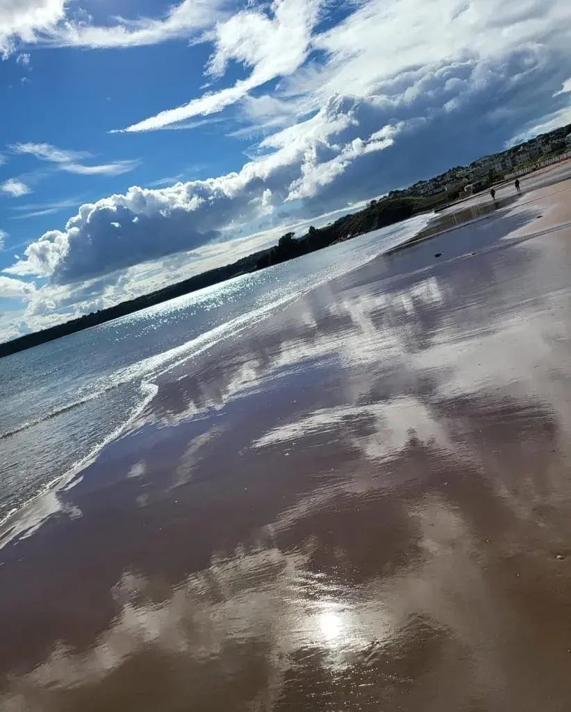 Single Room with Sea View in Beach Hotel Torbay B&B Single Room with Sea View in Beach Hotel Torbay B&B