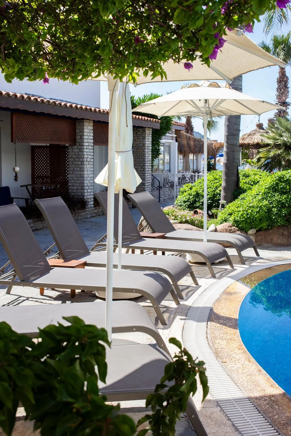 Garden in UzHan Beach Hotel