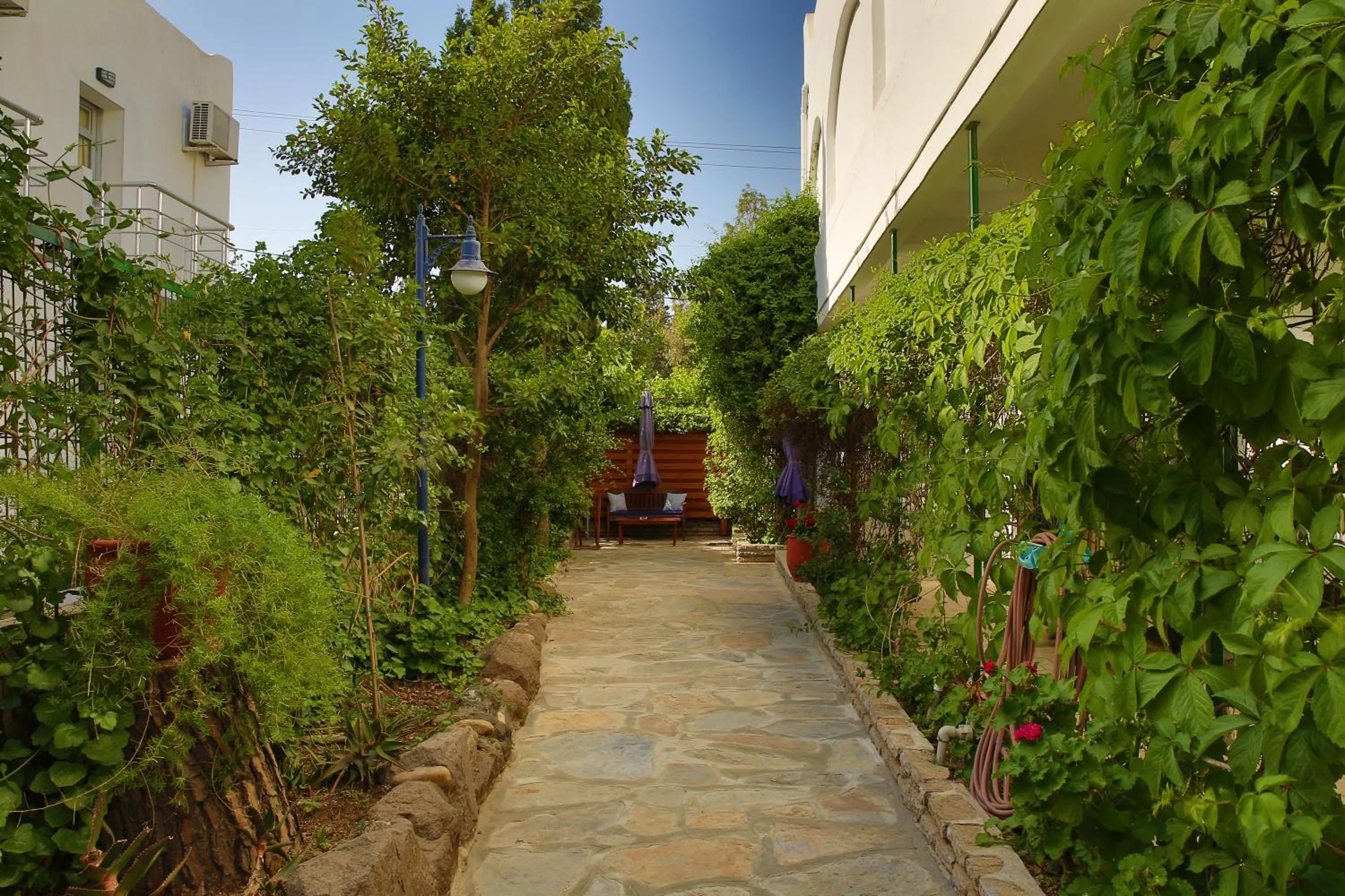 Garden in UzHan Beach Hotel