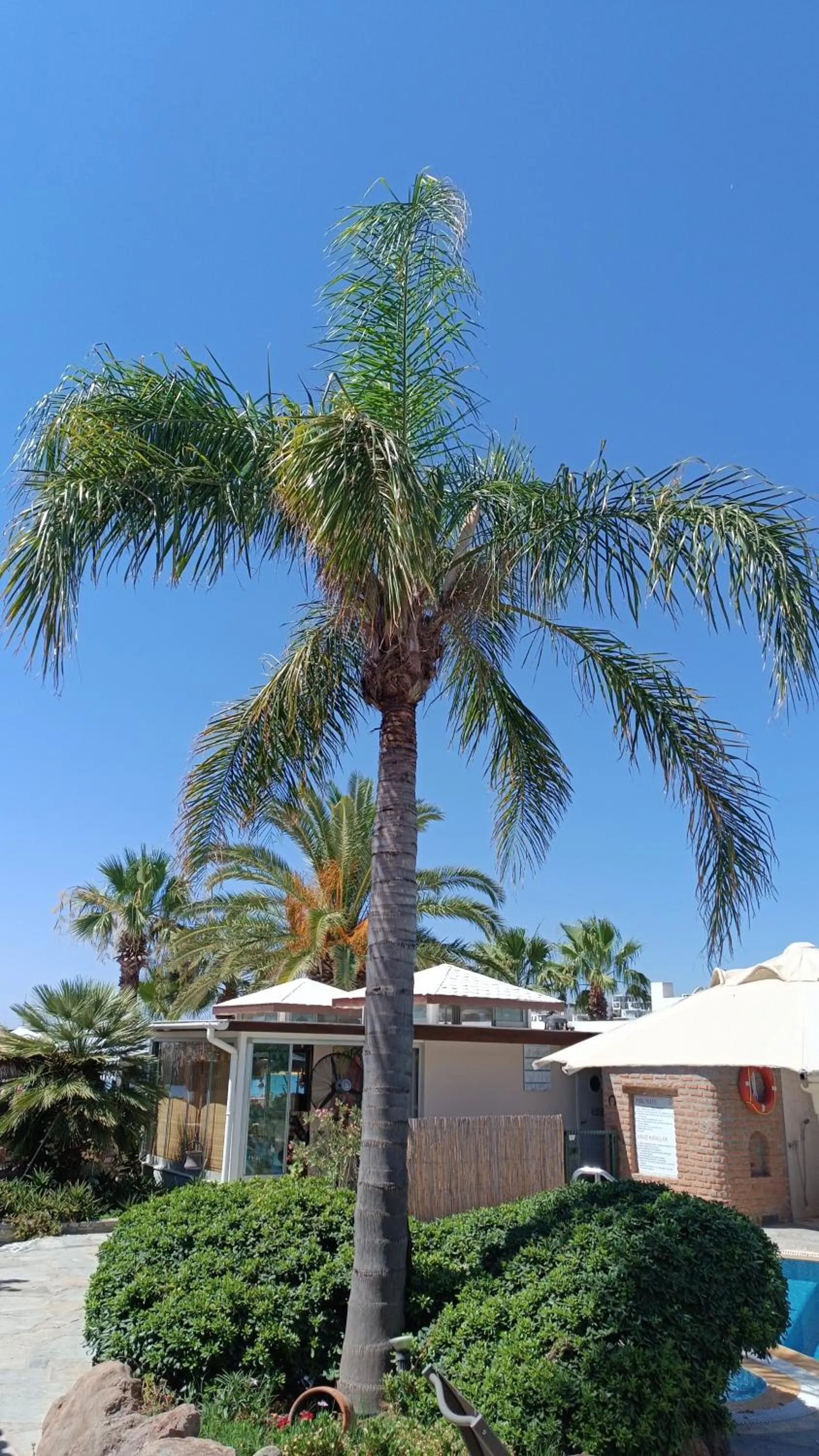 Garden view in UzHan Beach Hotel