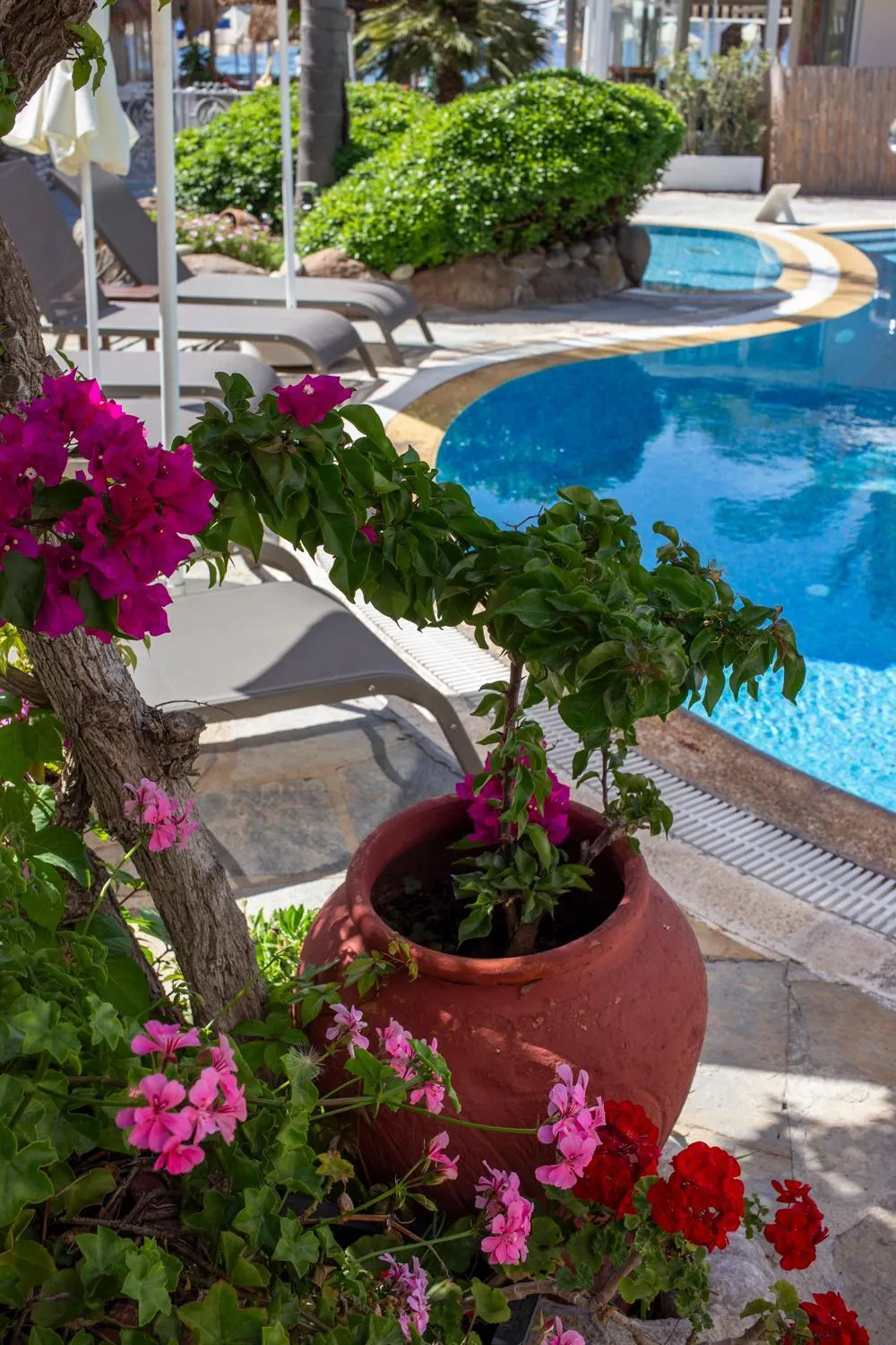 Garden view in UzHan Beach Hotel