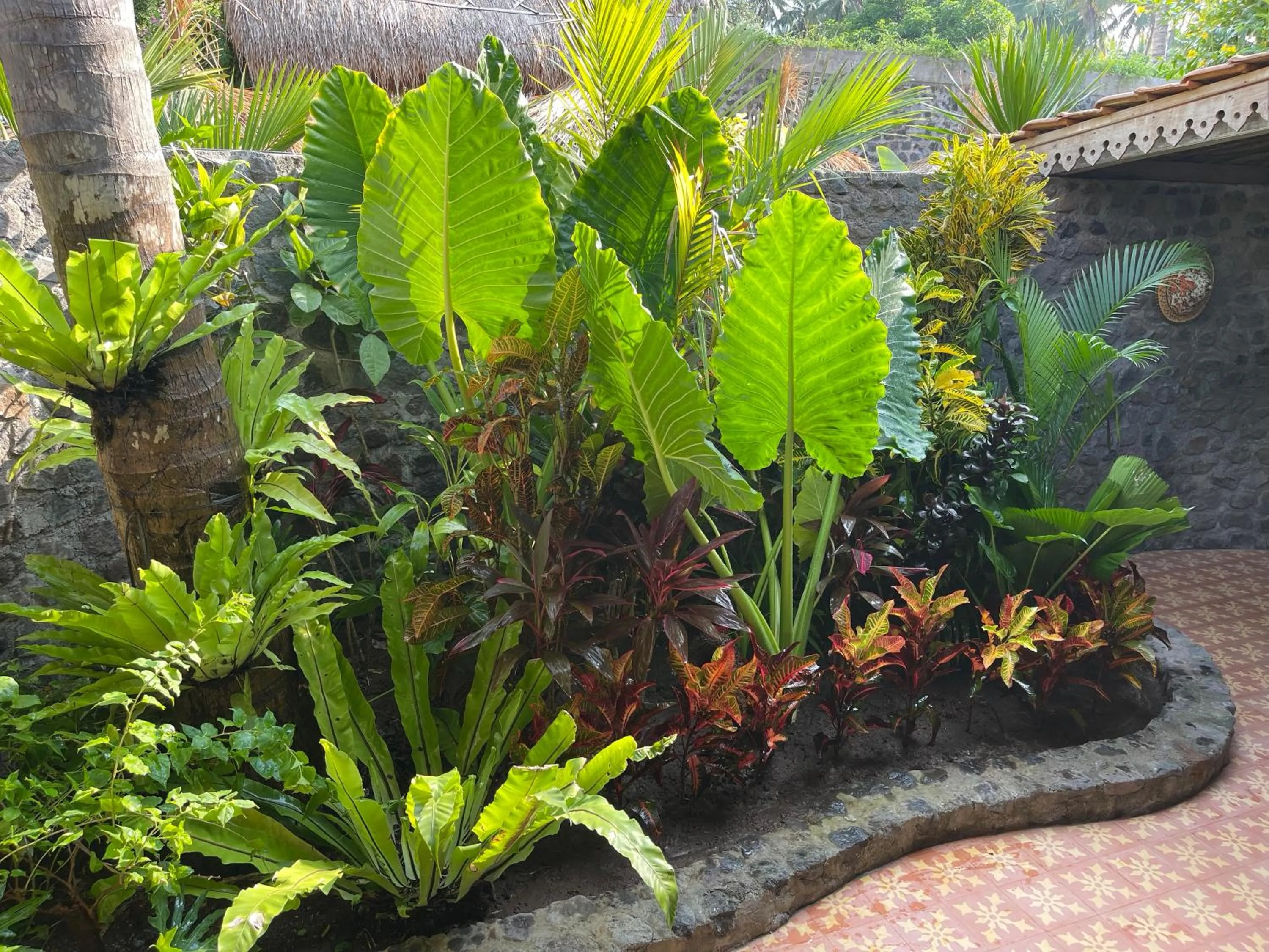 Bathroom in Louka Beach Bali