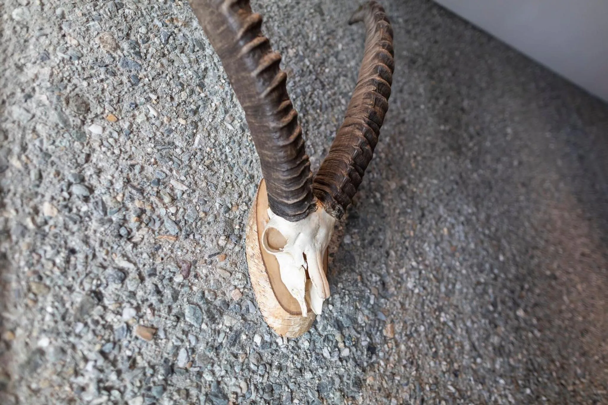 Facade/entrance in Longhin Maloja B&B